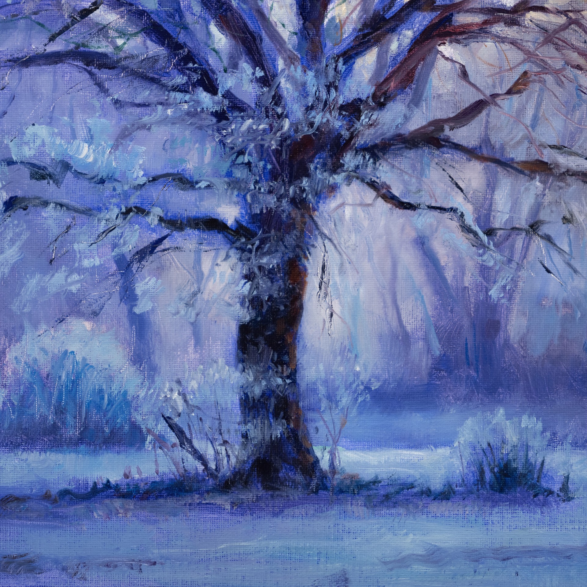 Icy Morning Light by Christopher Clark