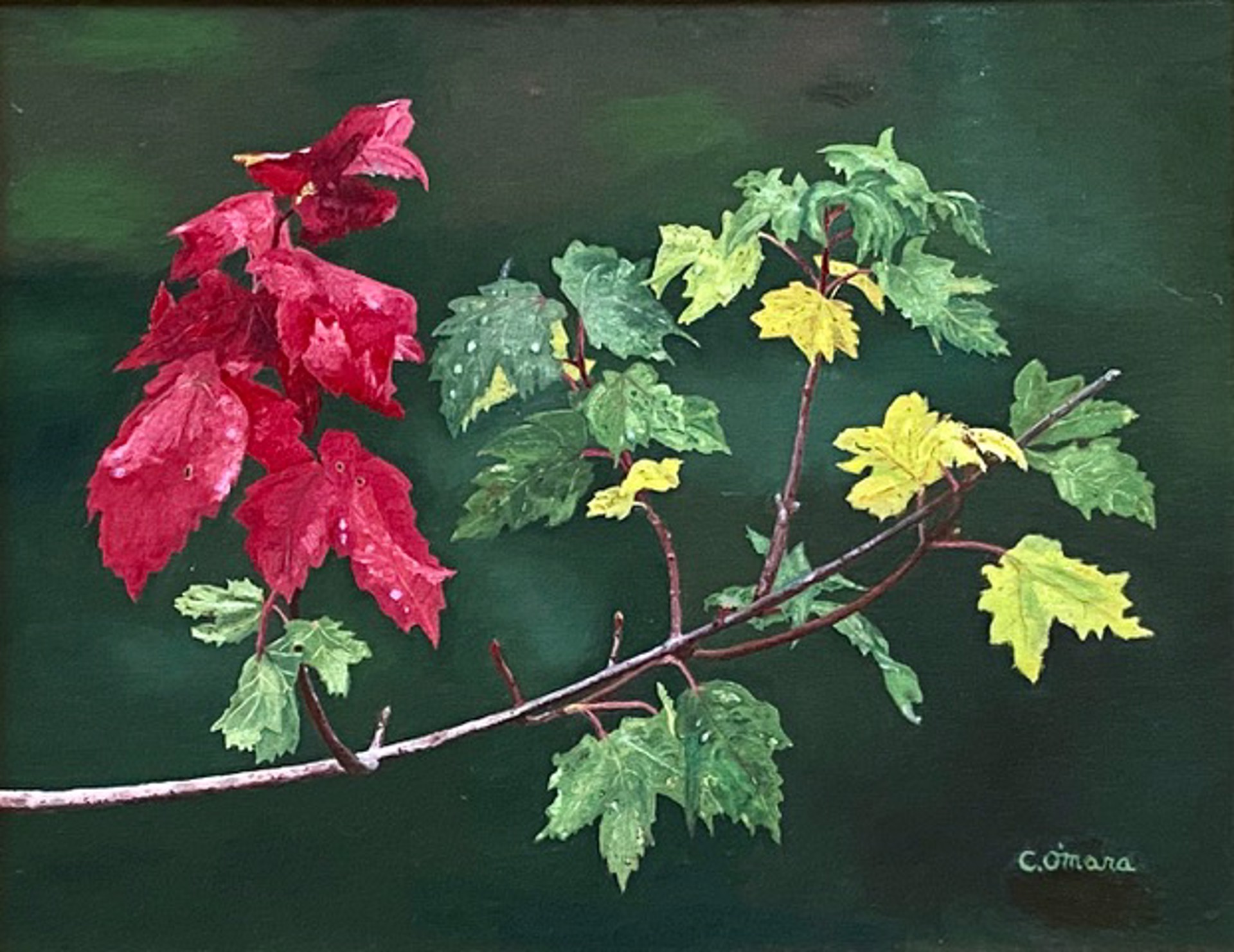 Changing Seasons by Charles O'Mara