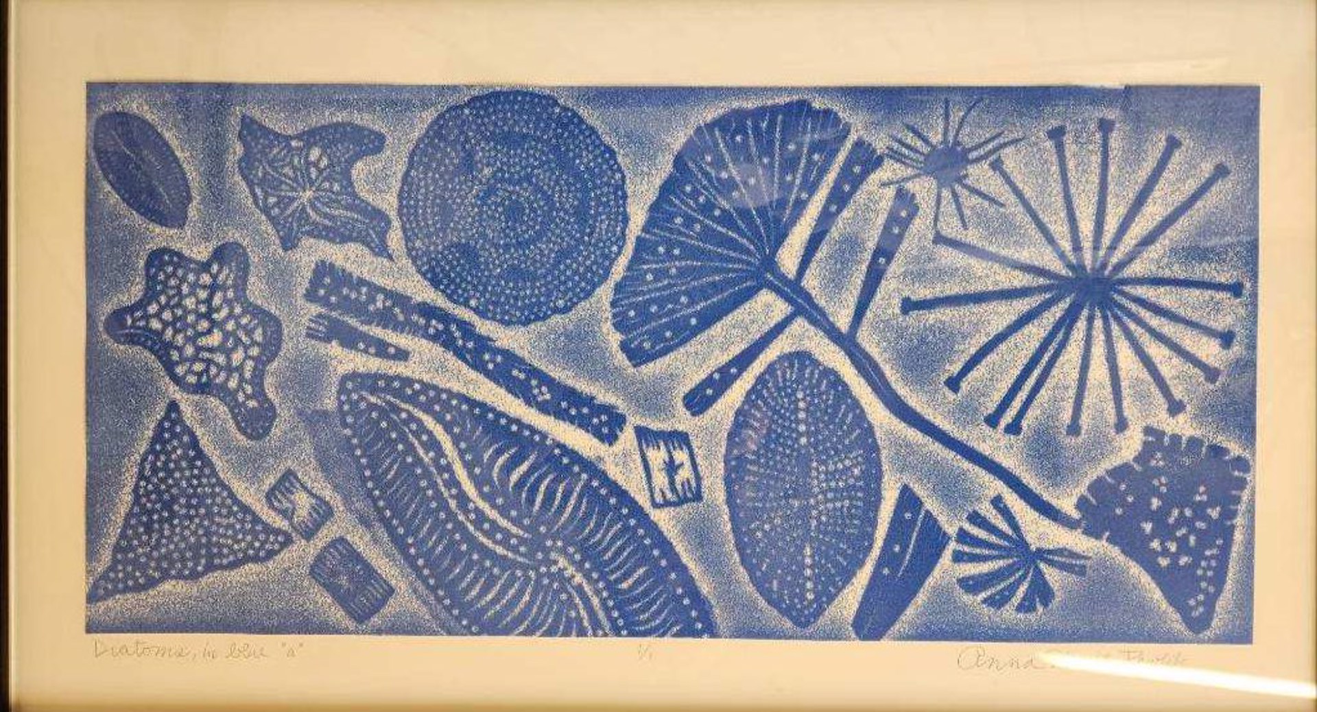 Diatoms, in Blue by Anna Marie Pavlik