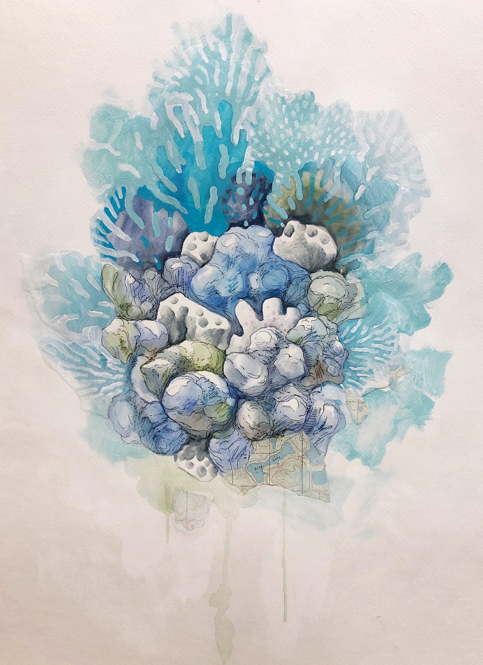 Reef Study II by Dustin Harewood