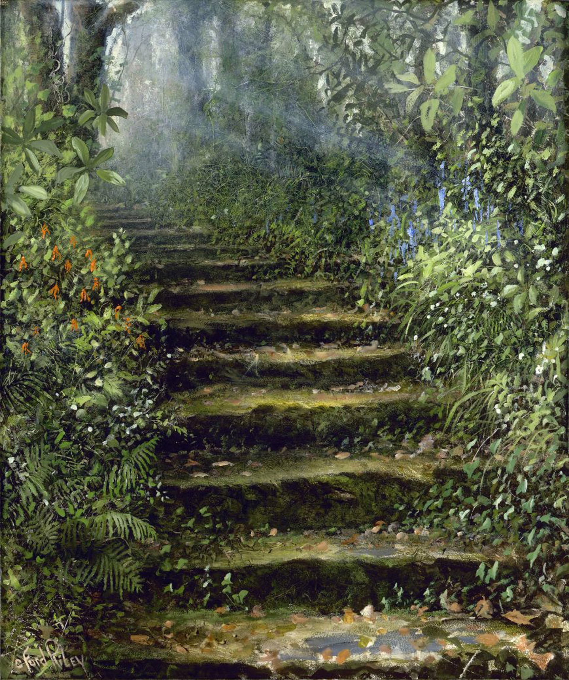 Steps to Waters Edge, Lake Glenville, NC by C. Ford Riley