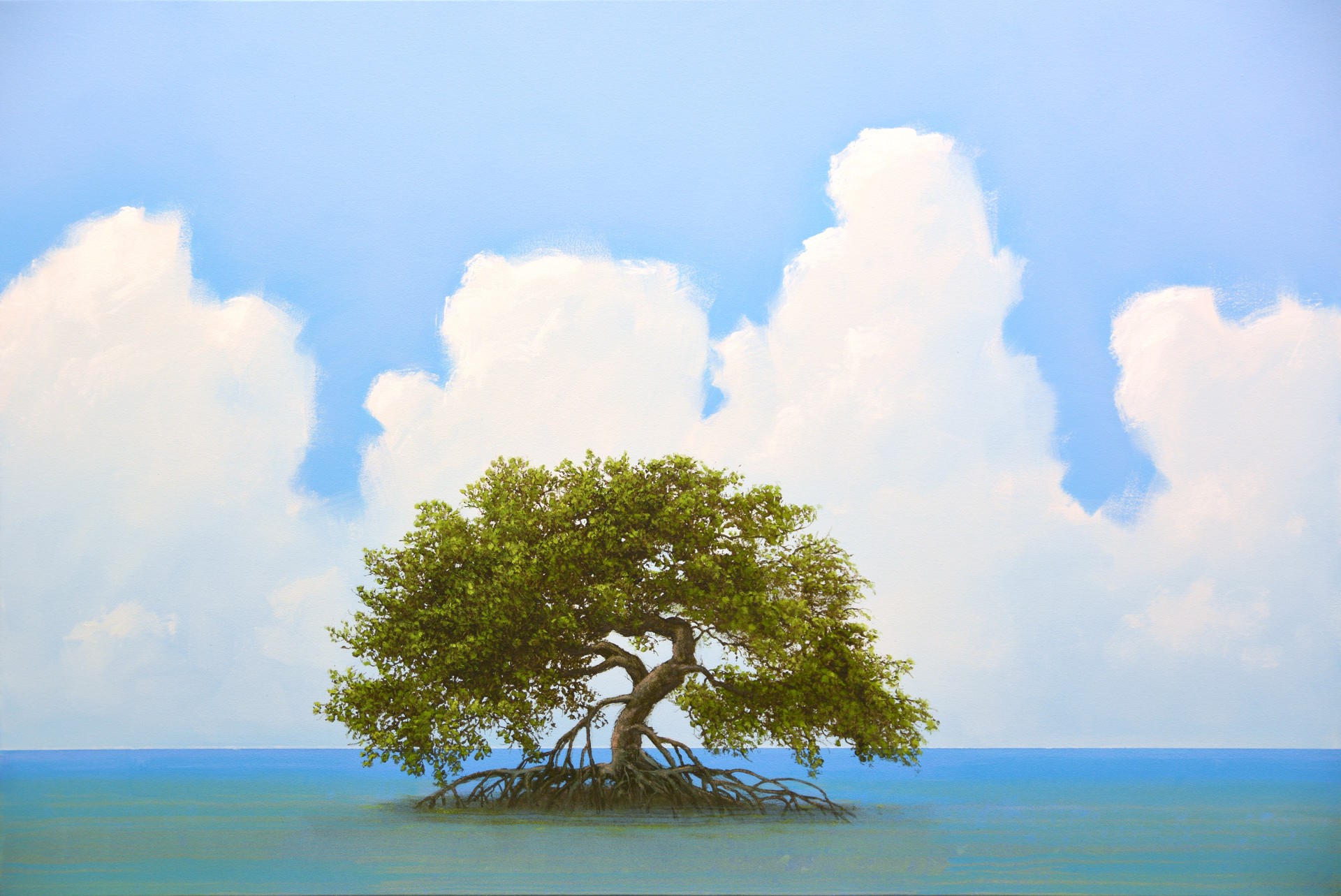 Mangrove by Robert Marchessault