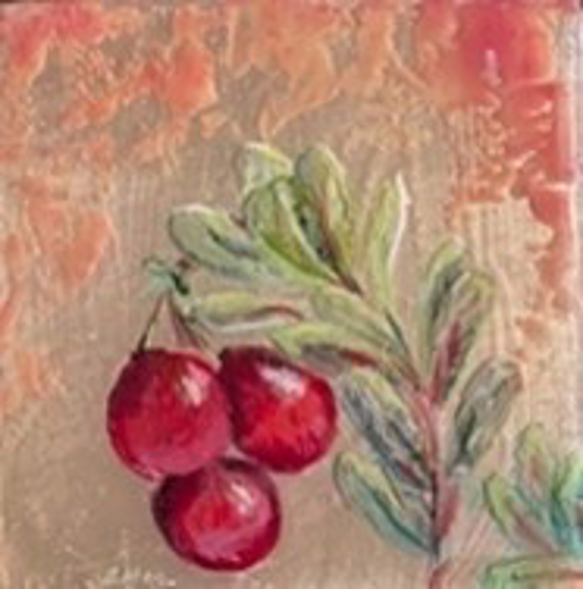 Cranberries by Bonnie Dhein