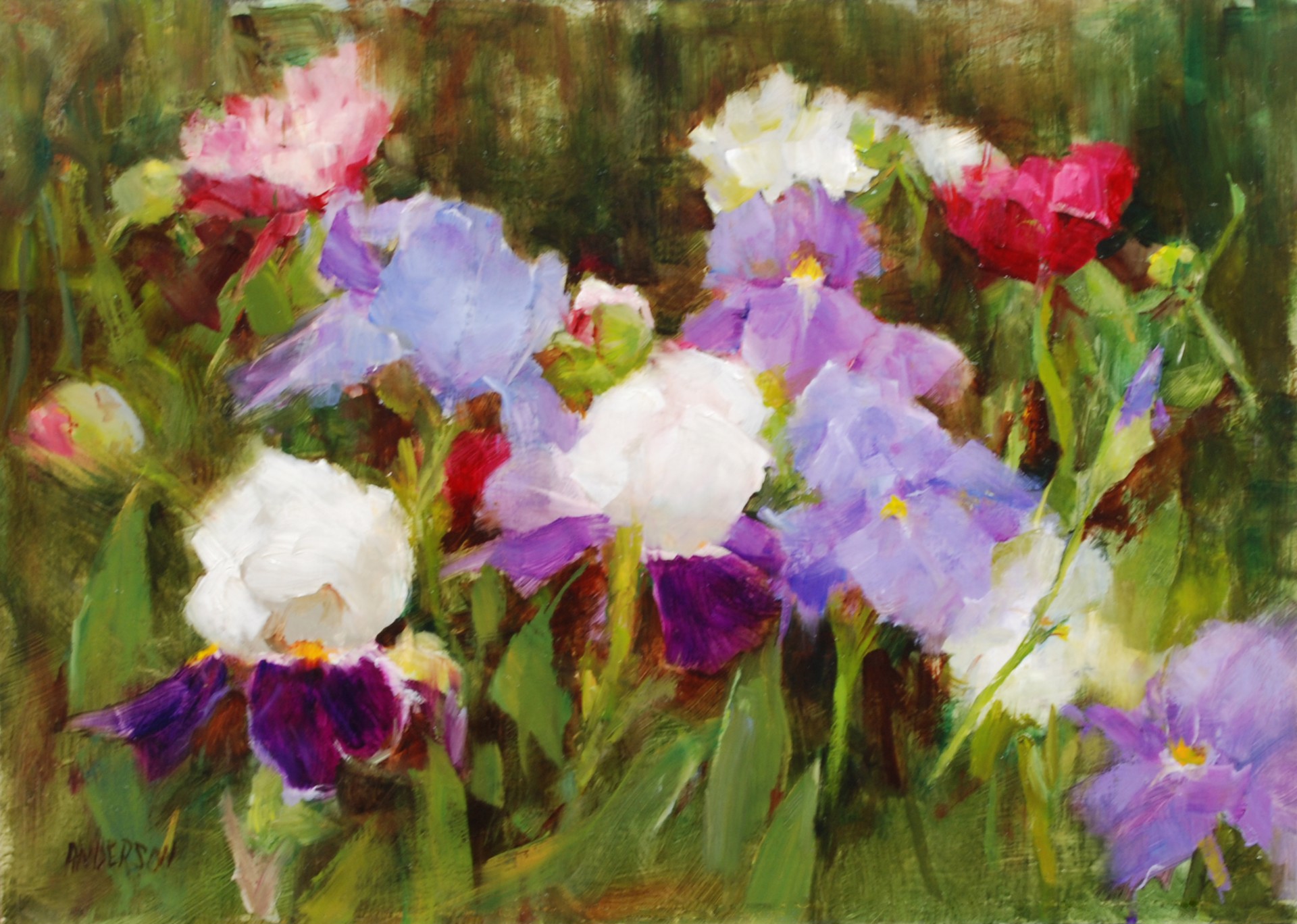 Blue Iris with Peonies by Kathy Anderson