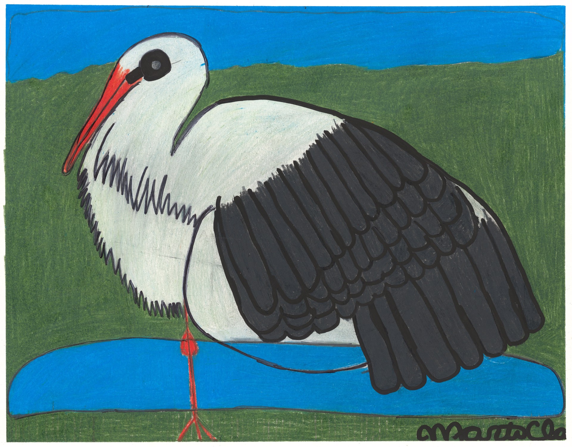 White African Stork by Marti Clark
