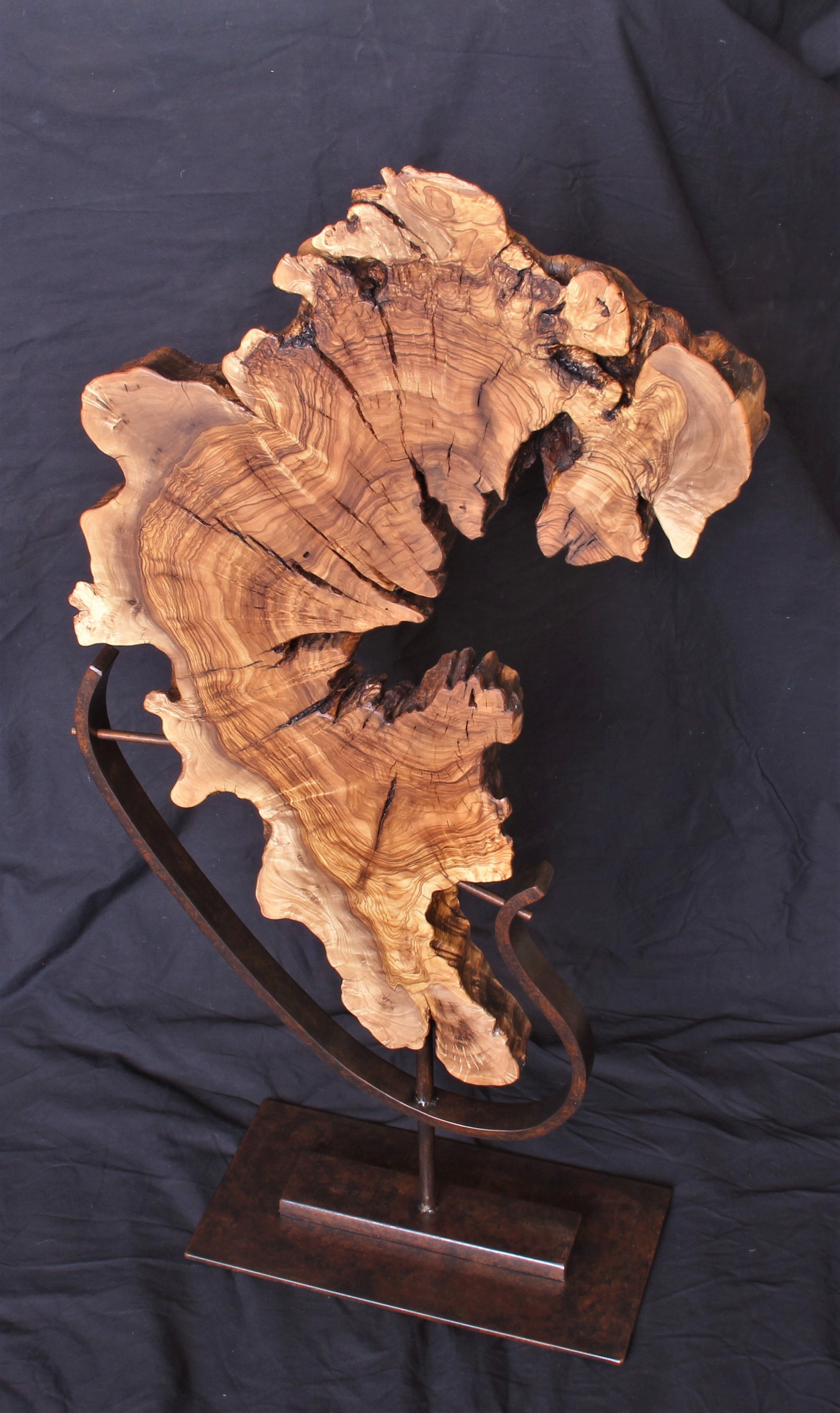 Freestanding Olive Root Burl on Steel Base 030318A by Ron Gill