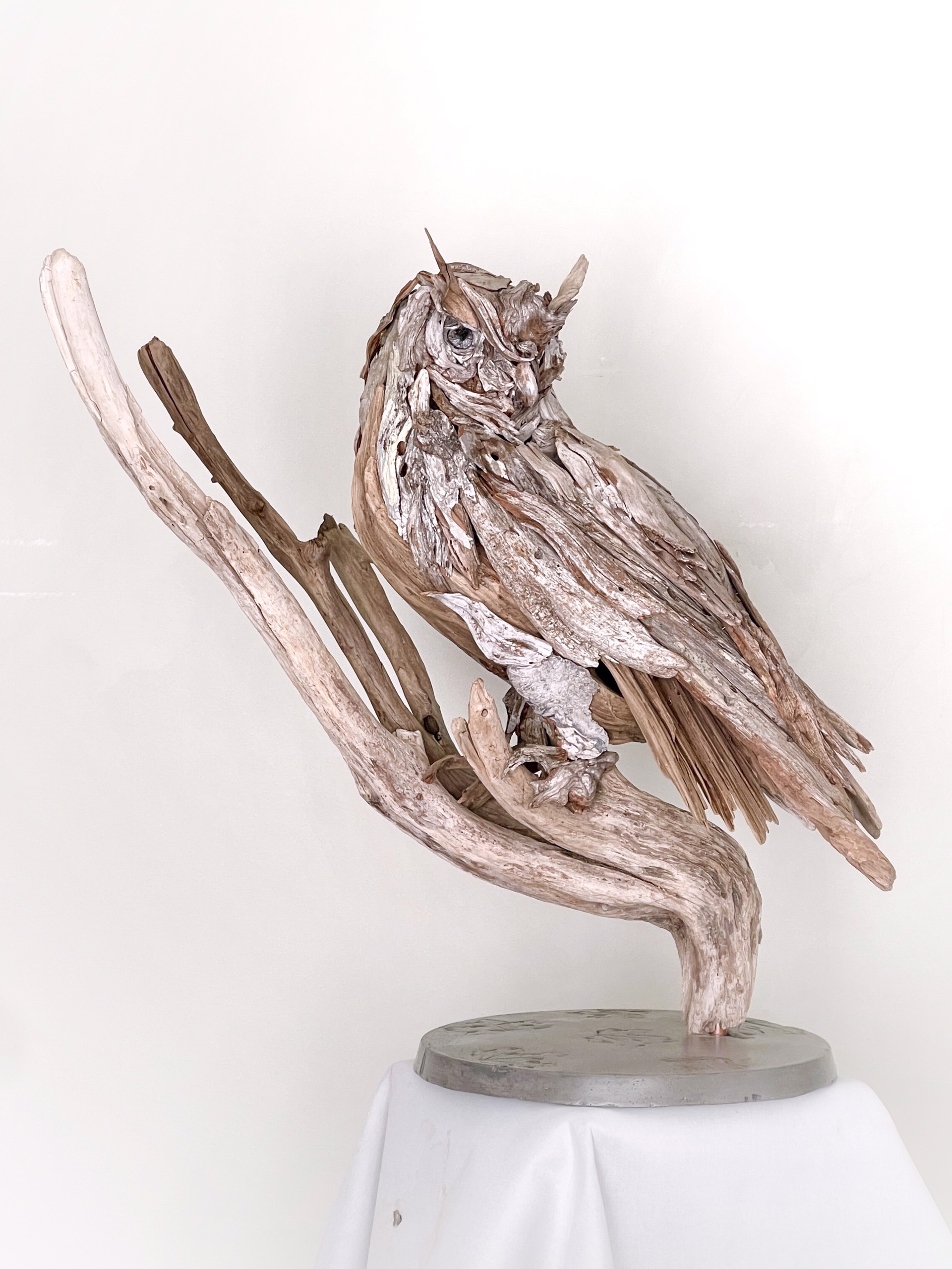 Great Horned Owl by Dalyn Berryman