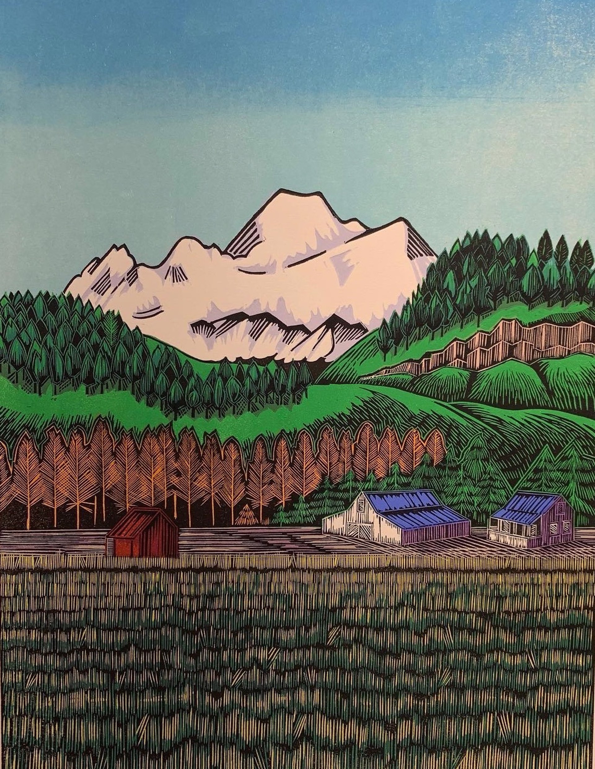 Mount Baker Between the Foothills by Gene Jaress