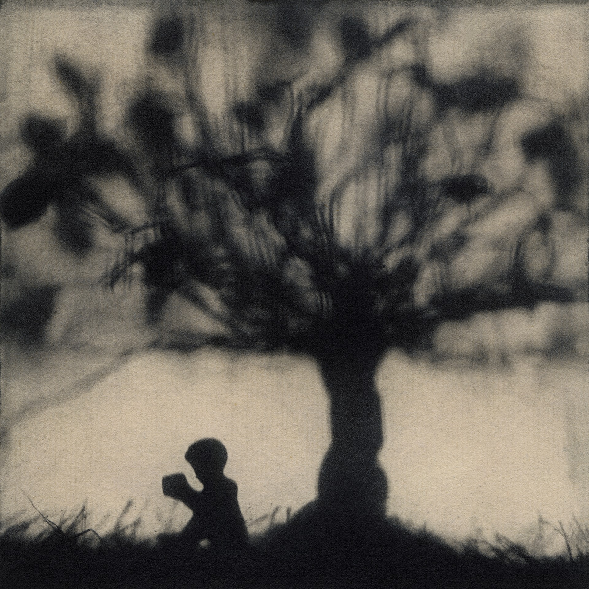Tree by Jennifer Shaw