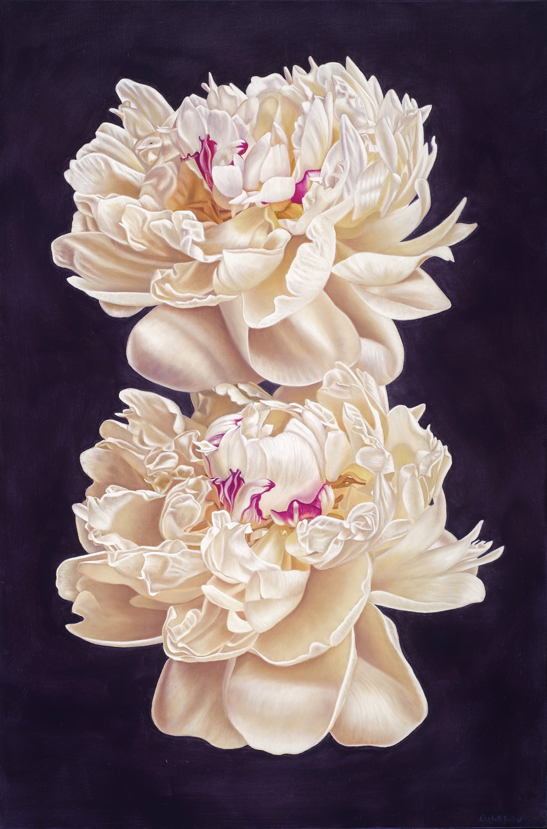 Blessing by Elizabeth Barlow