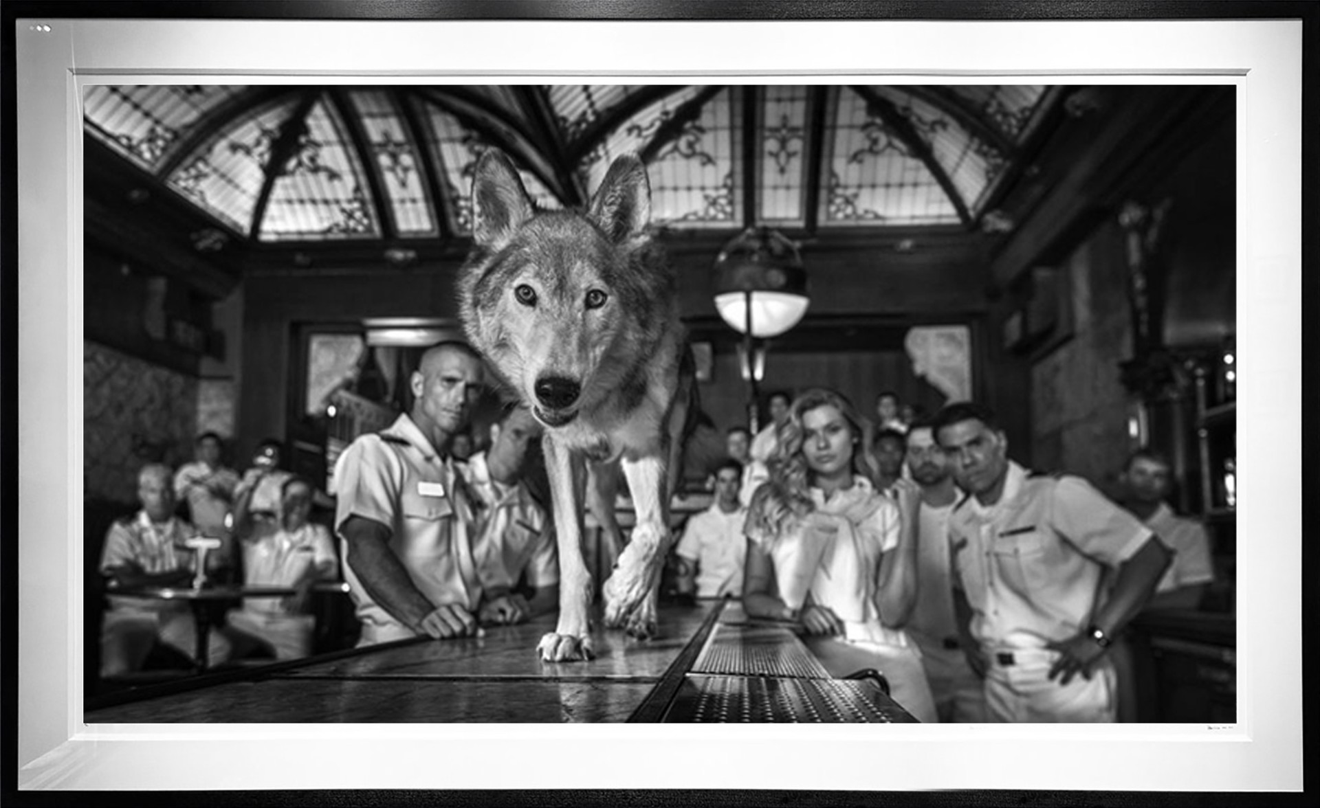 Top Gun by David Yarrow
