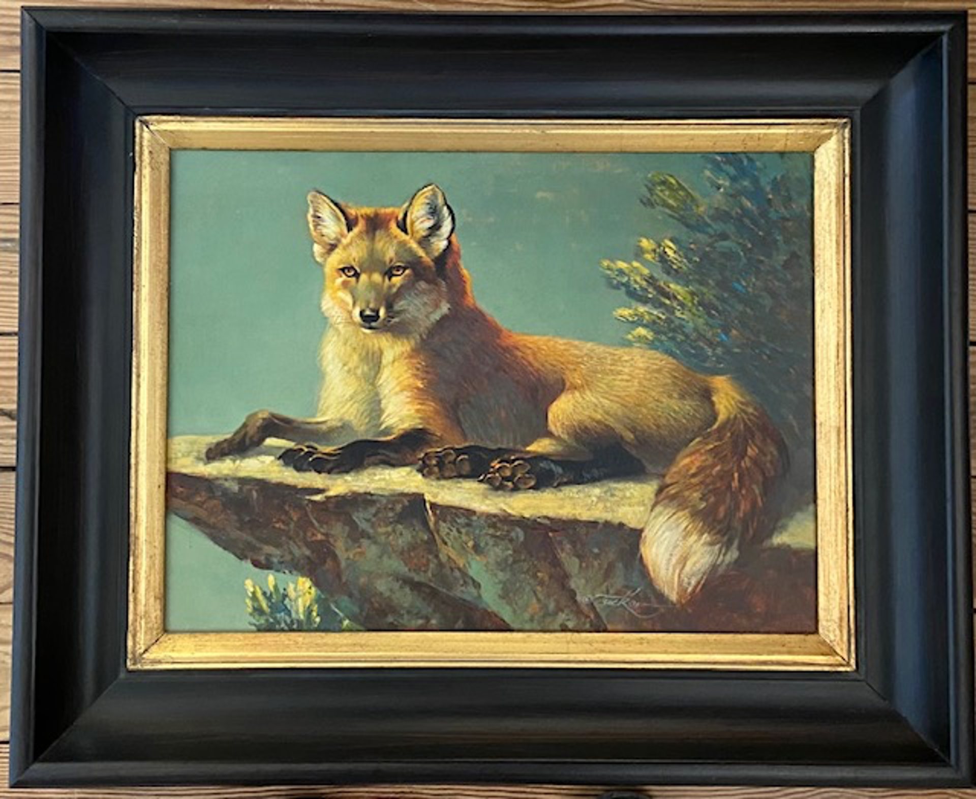 Fox On a Rock by Ezra Tucker