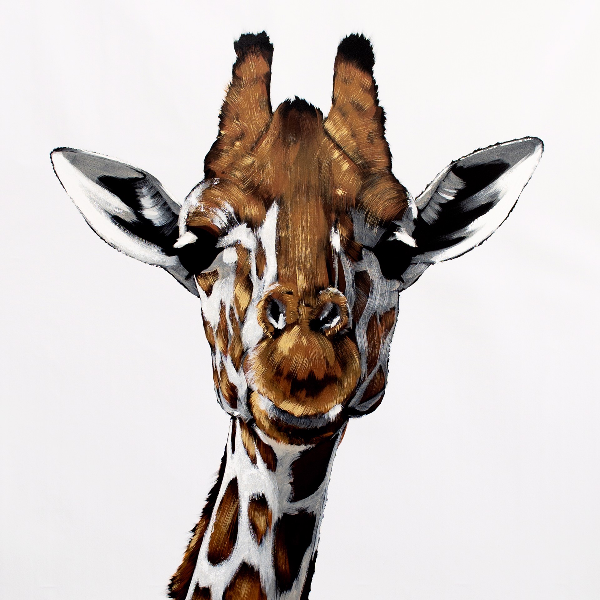 Giraffe on White by Josh Brown