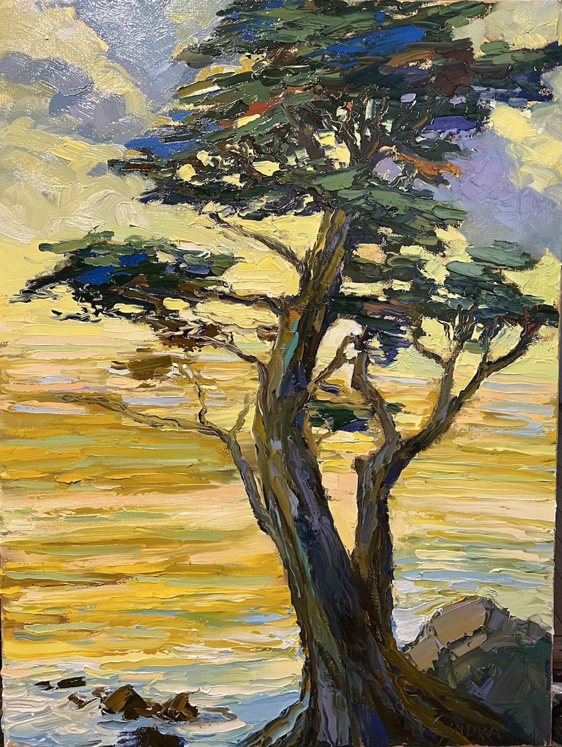 Golden Cypress Sunset by Cyndra Bradford