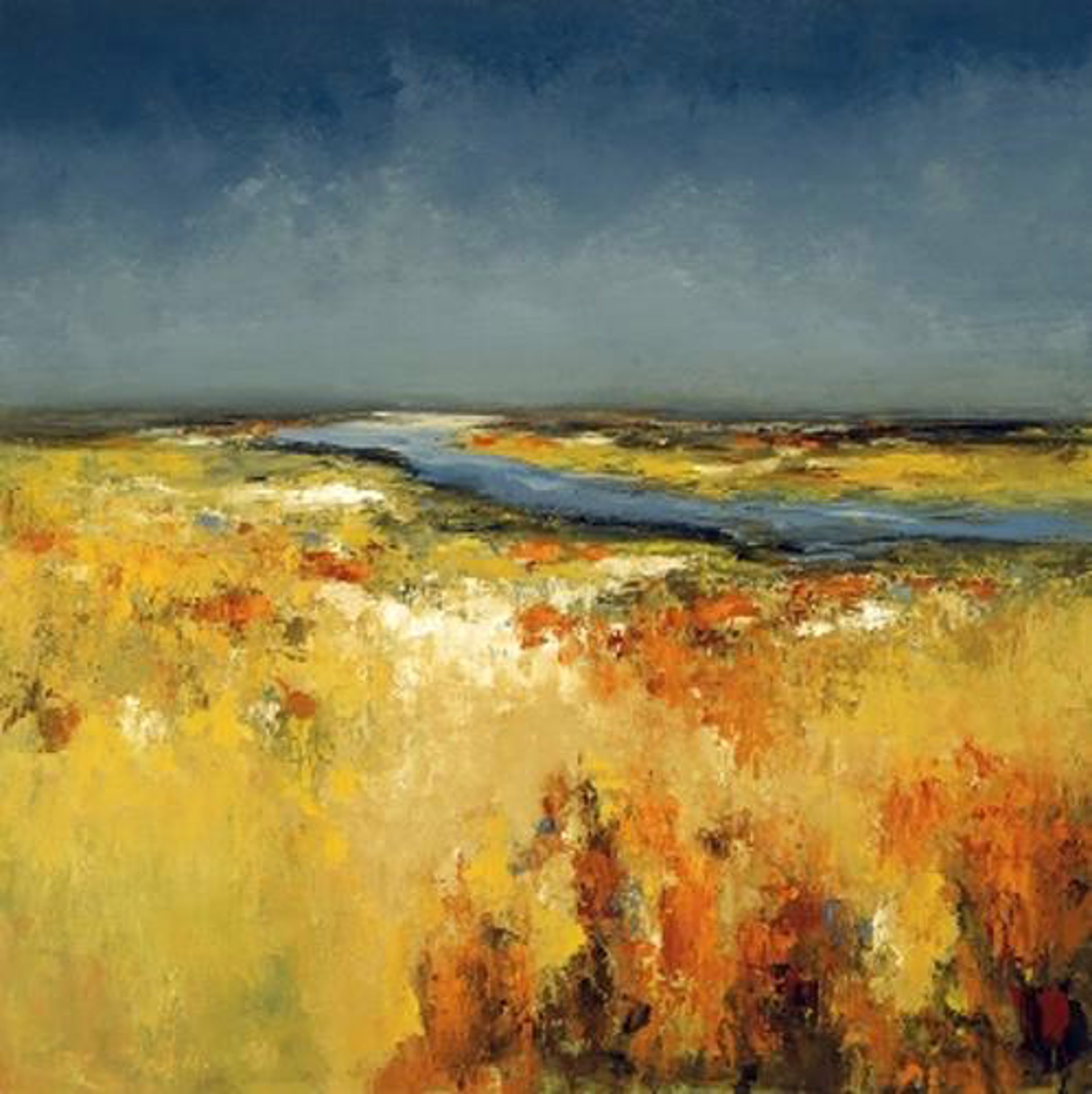 Sunlight Fields by Lisa Ridgers