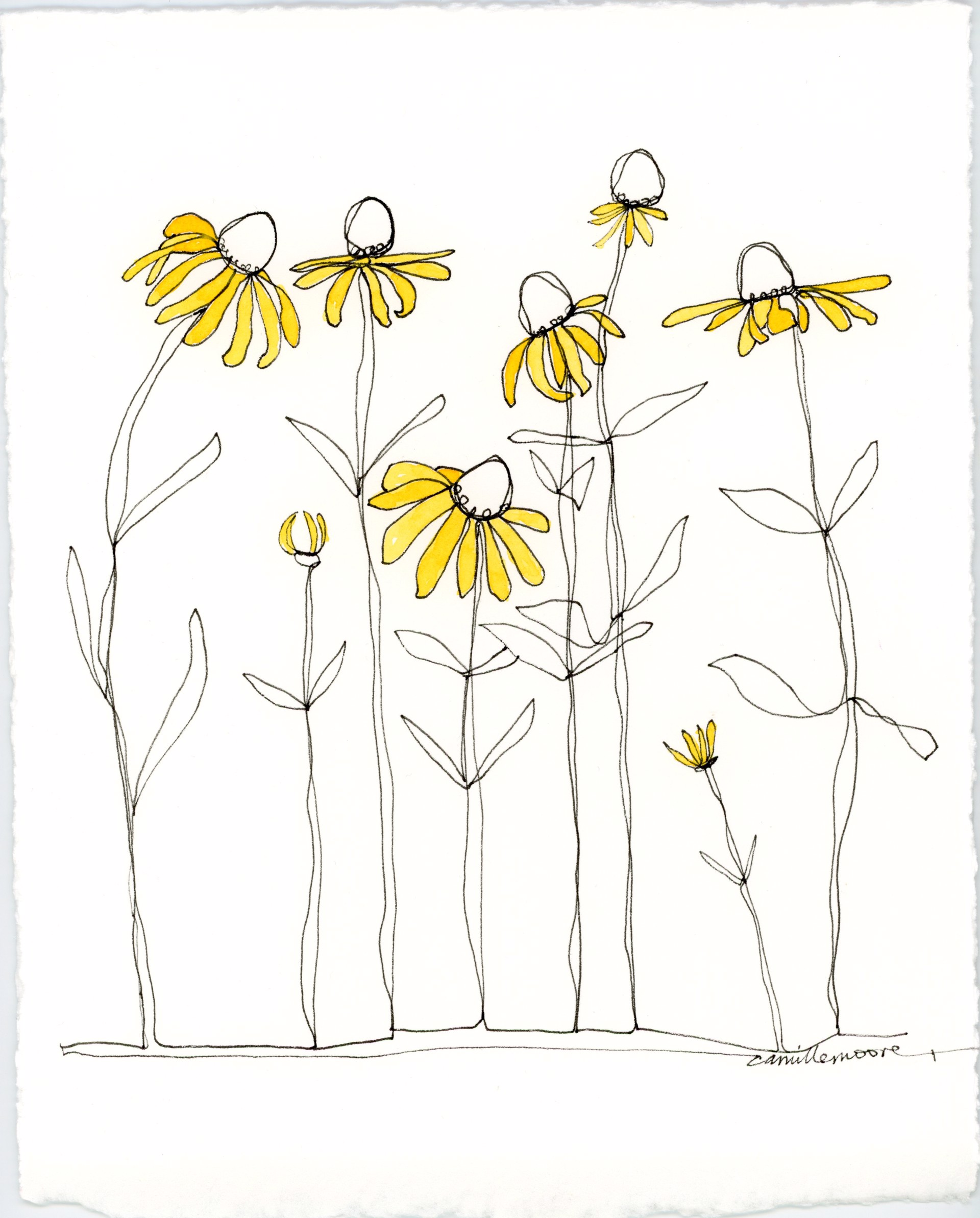 Black Eyed Susan by Camille Moore