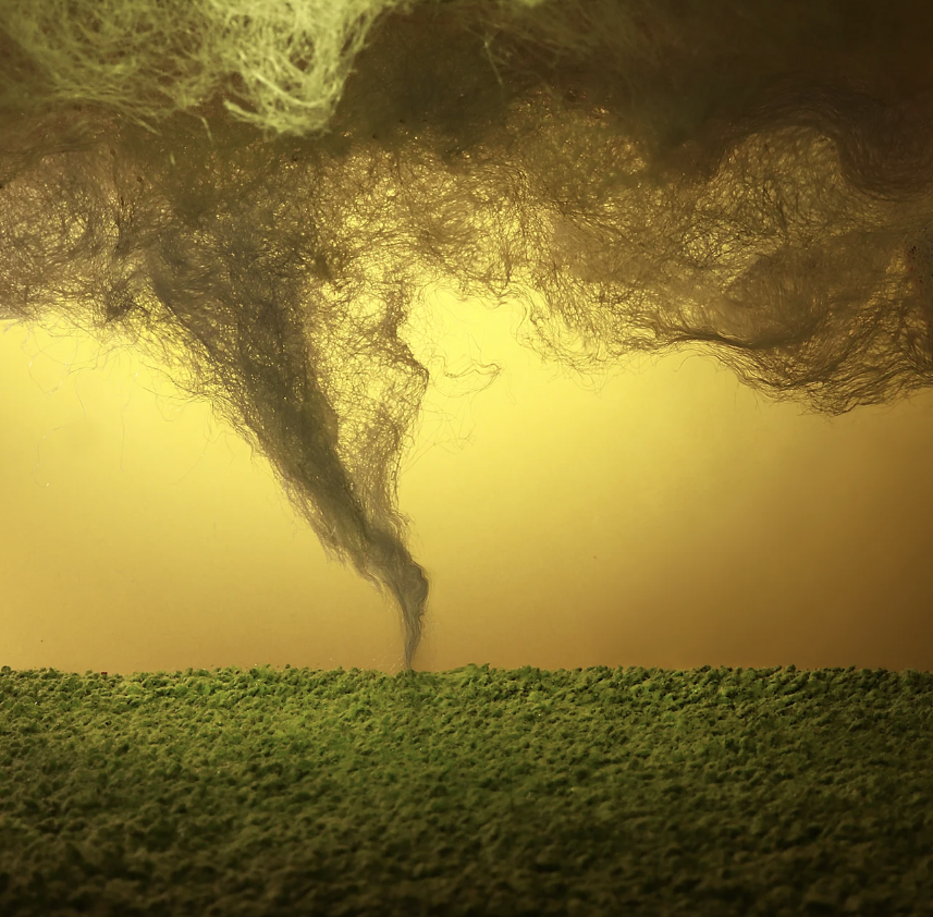 Tornado by Stephen Dorsett