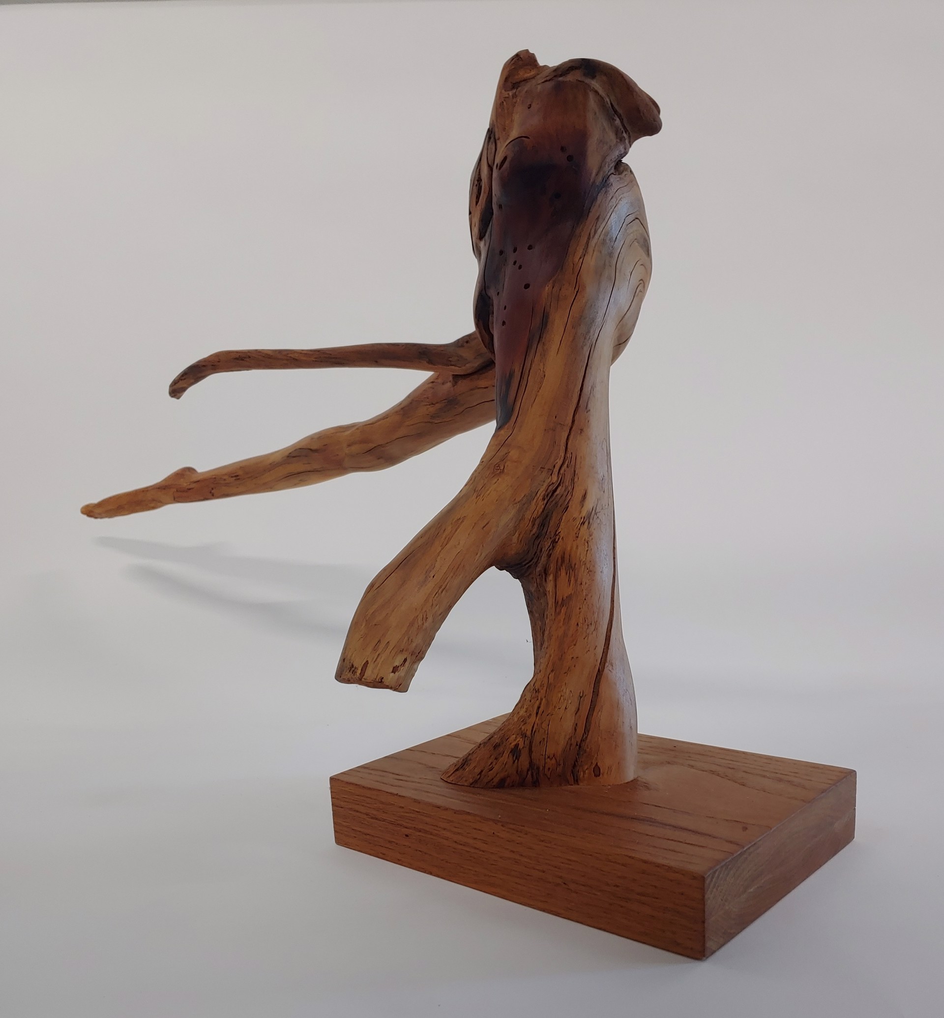 Abstract Leg - Wood Sculpture by David Amdur