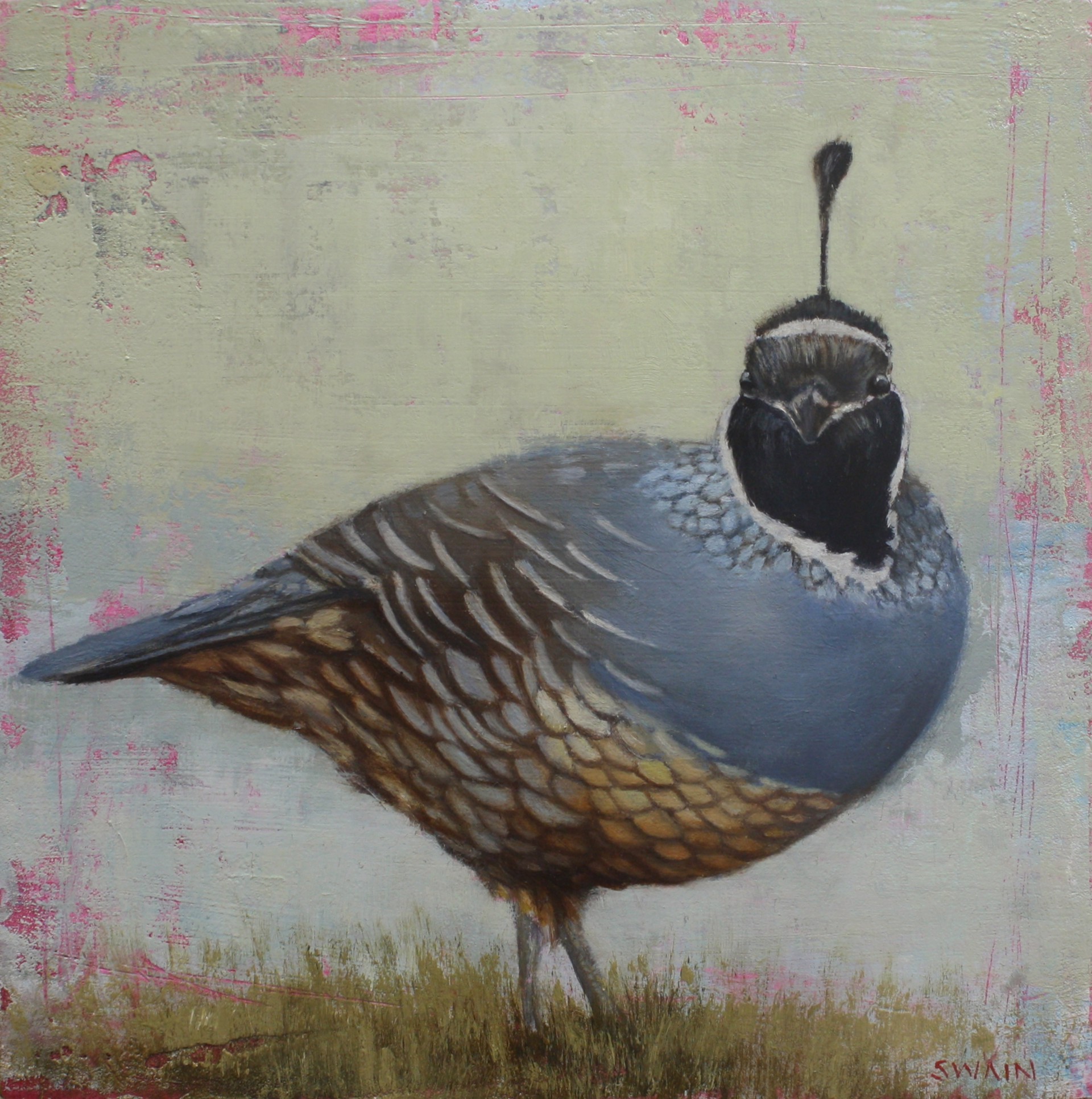 Quizzical Quail by Tyler Swain