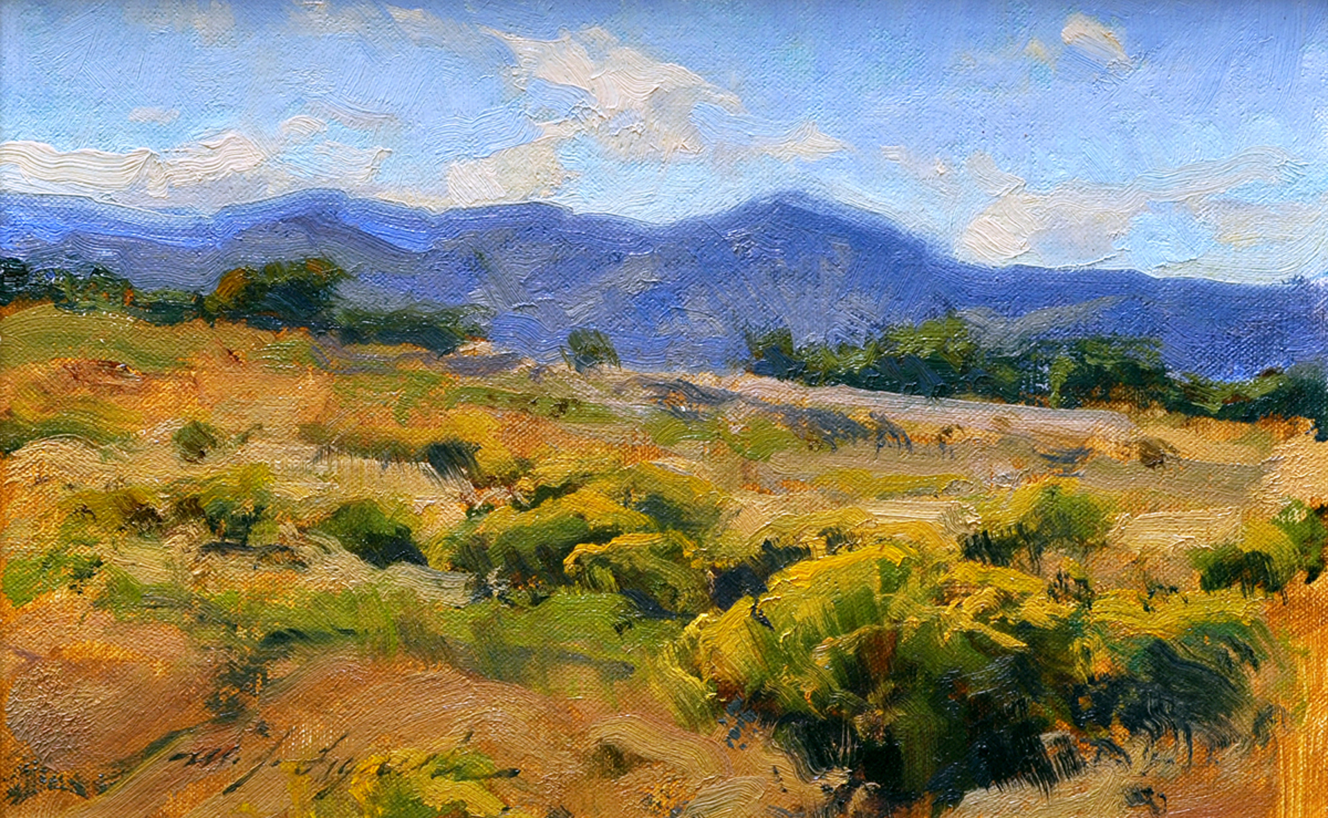 Colorado Prairie in August by Michael J Lynch