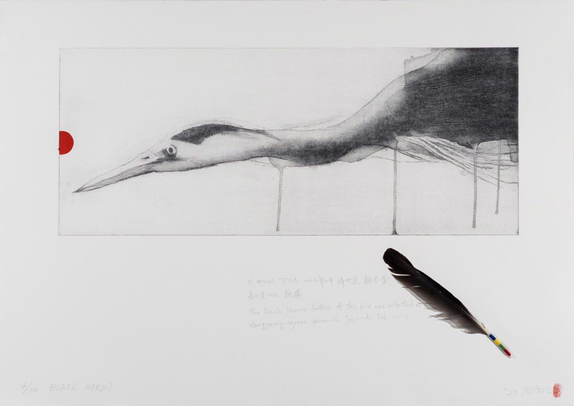 Black heron by Gilchun Koh