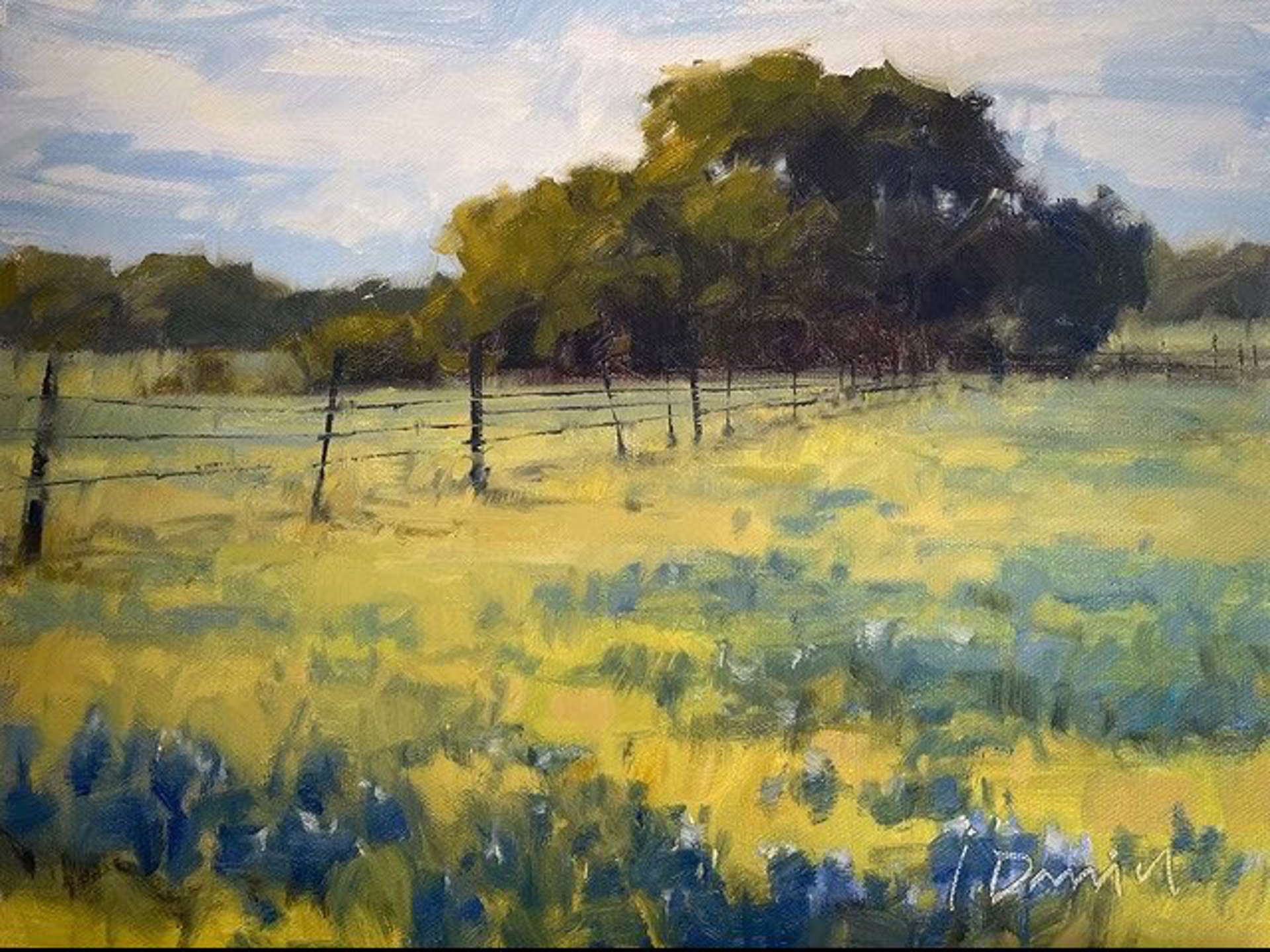 Spring Pasture by Laurel Daniel