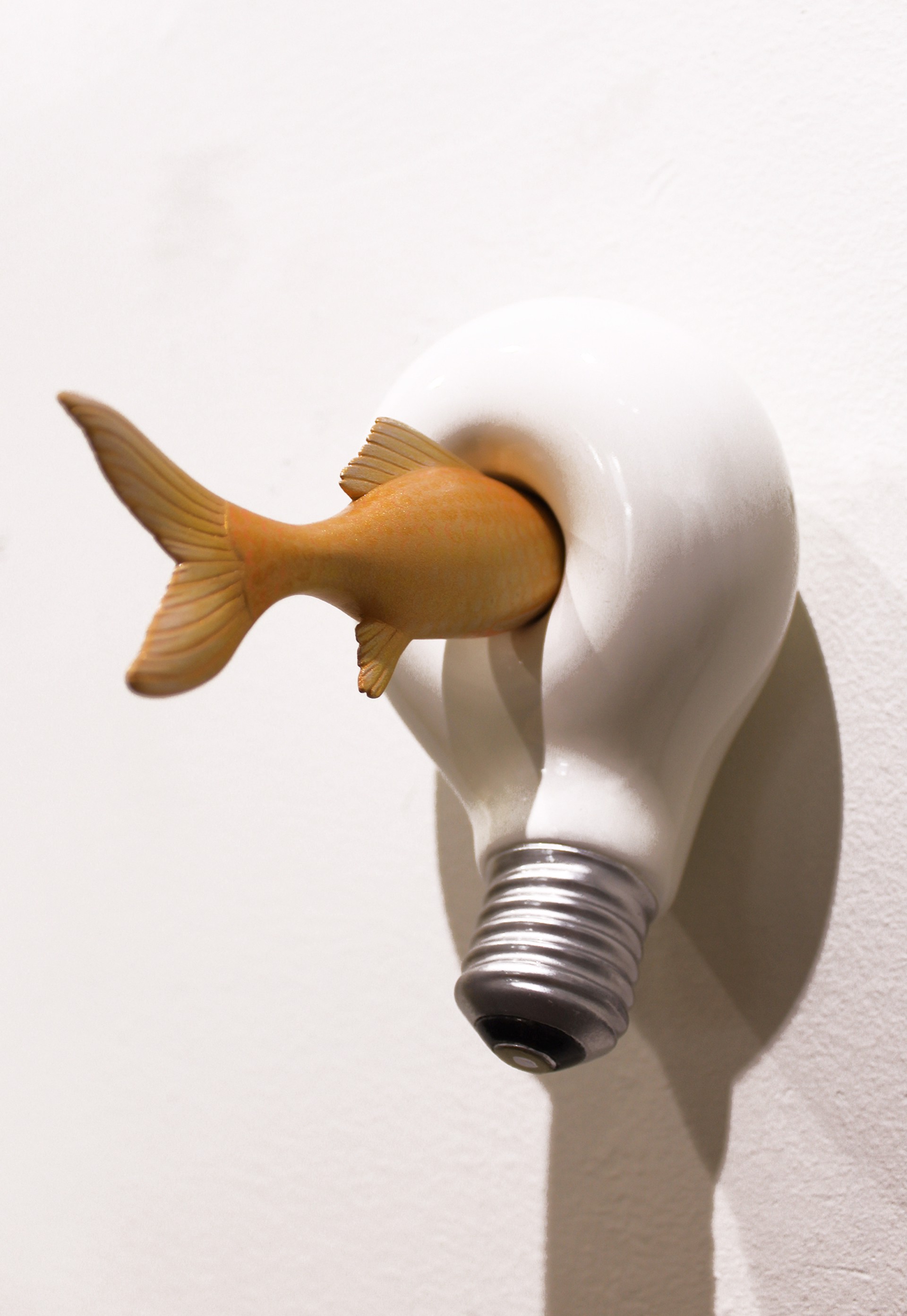 Brite Idea: Light Where You Need It (Fish) by Sean O'Meallie