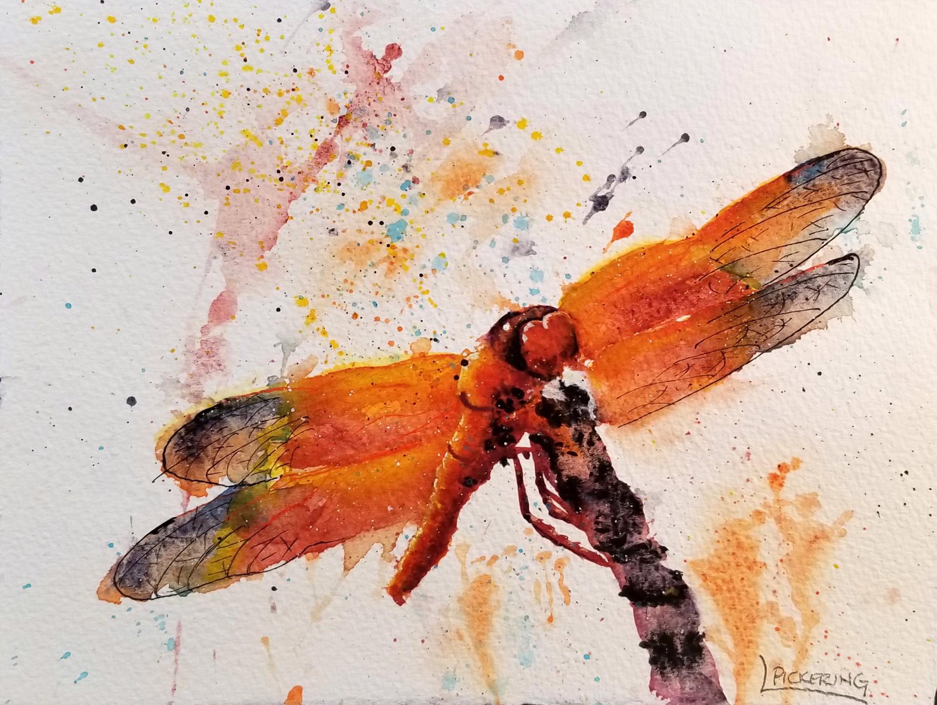 Dragonfly Rest by Laura Pickering