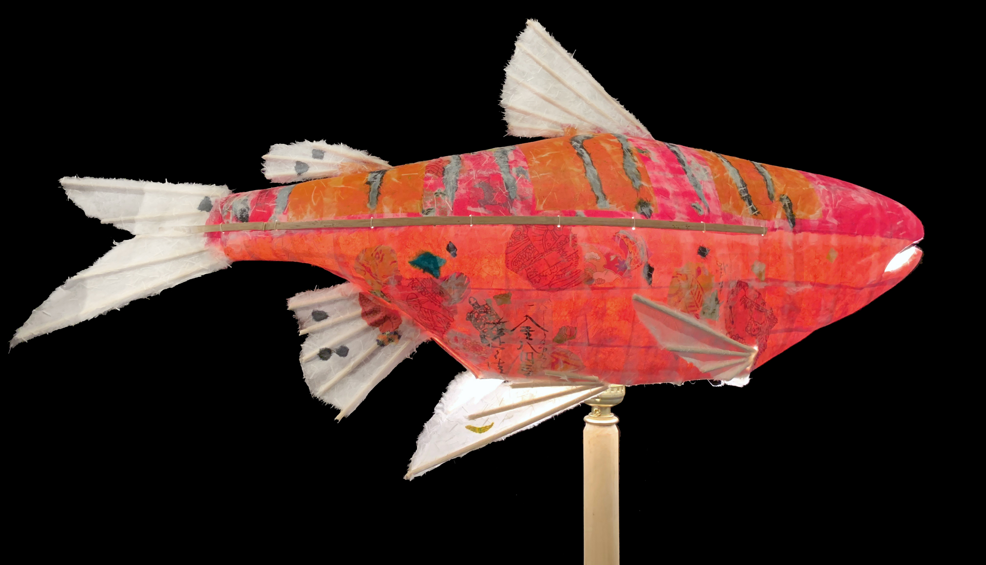 Tiger Stripe Salmon by Elaine Hanowell