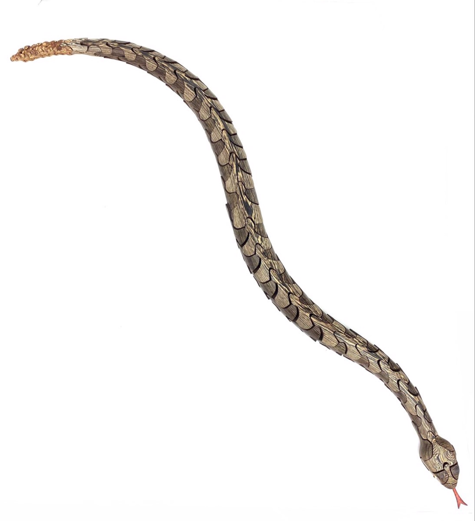 Rattlesnake with Mouse Inside by Peter Chapman