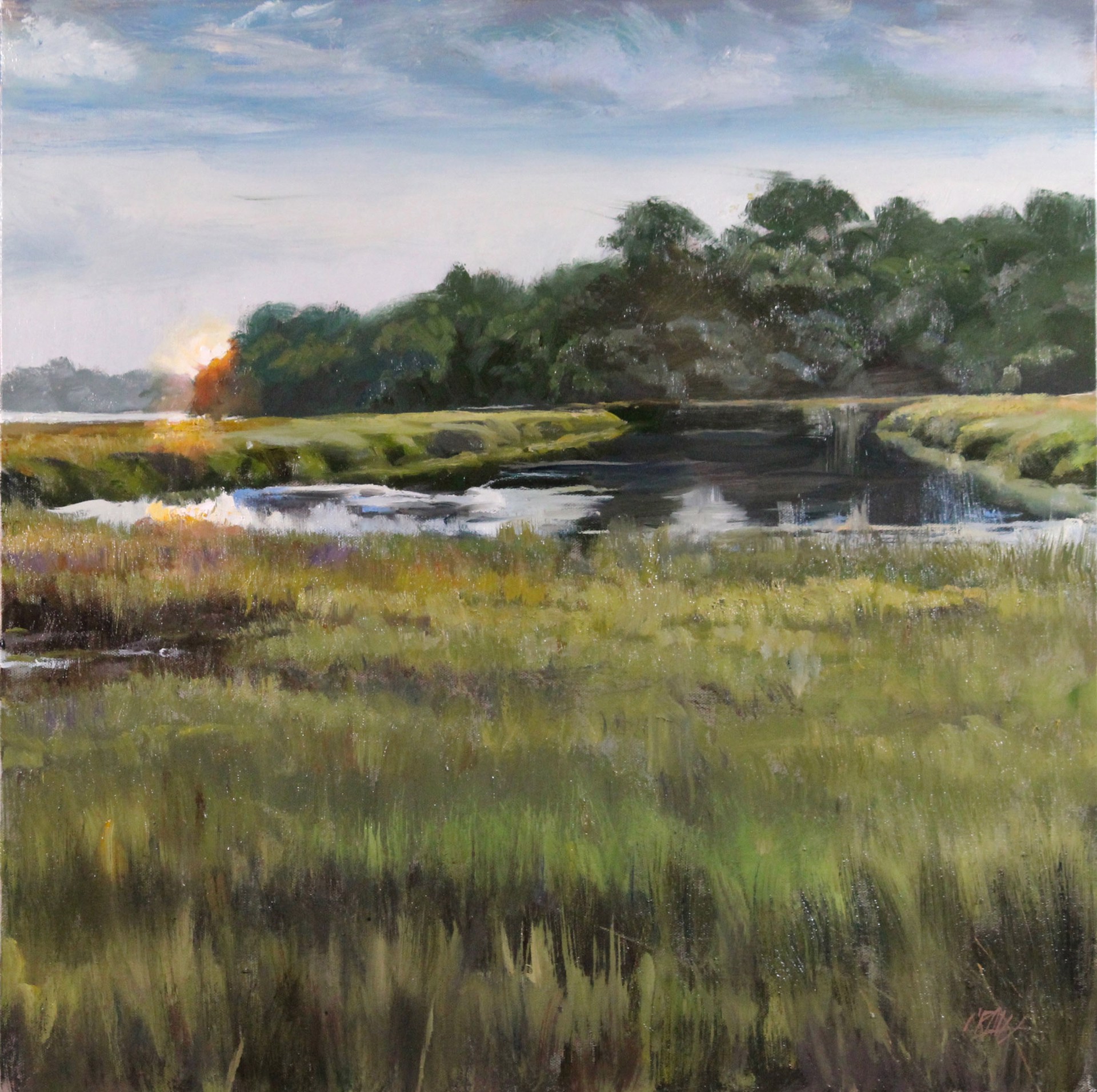 The Marsh by Craig Nelson