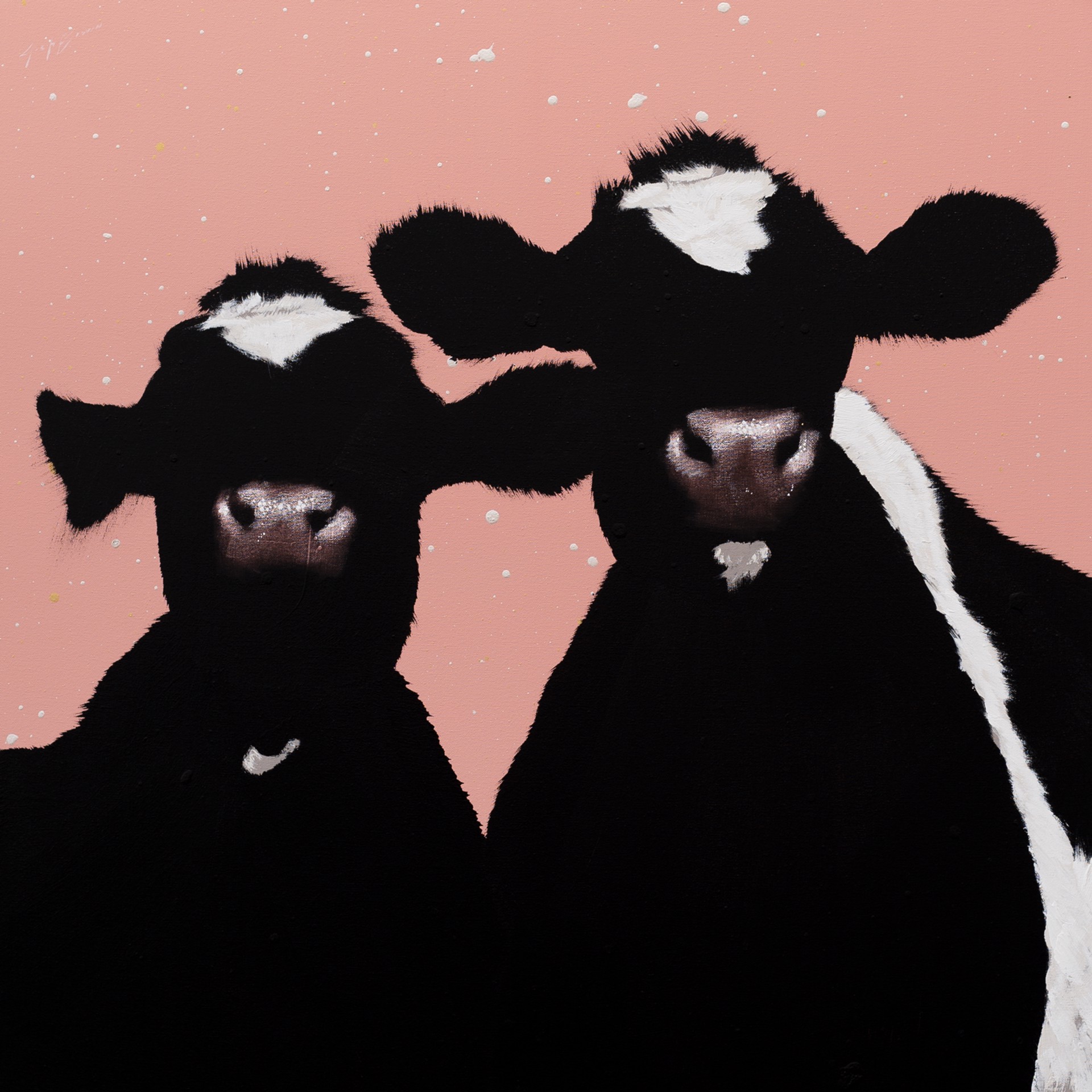 Two Cows on Pink by Josh Brown