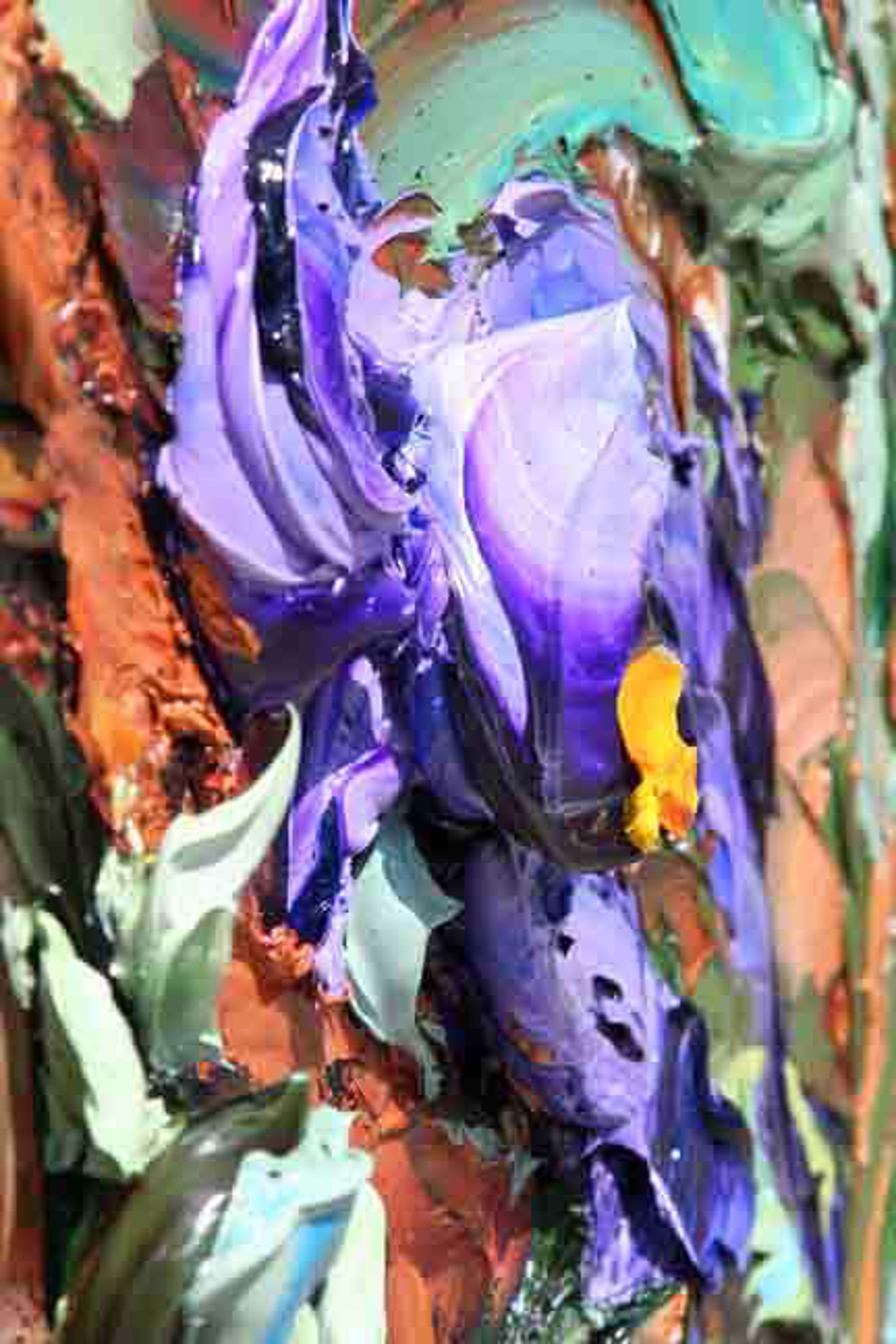 Siena Park Irises by JD Miller