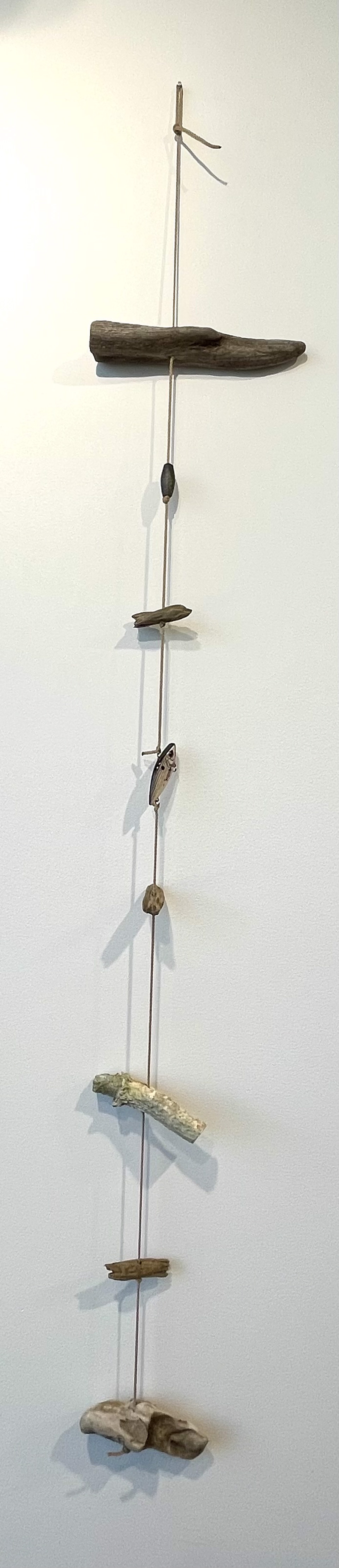 Driftwood Chime Horns and Red-Eyed Swimmer by Jason Davis