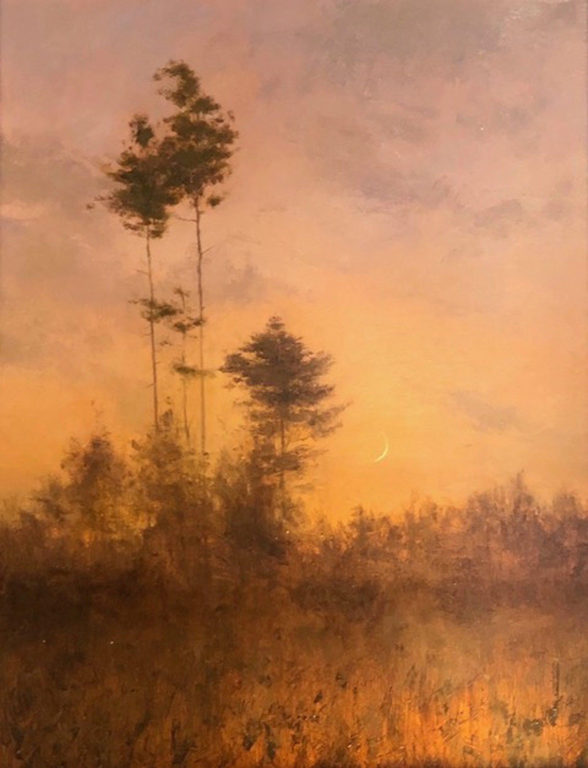 In the Pines by PAUL BATCH