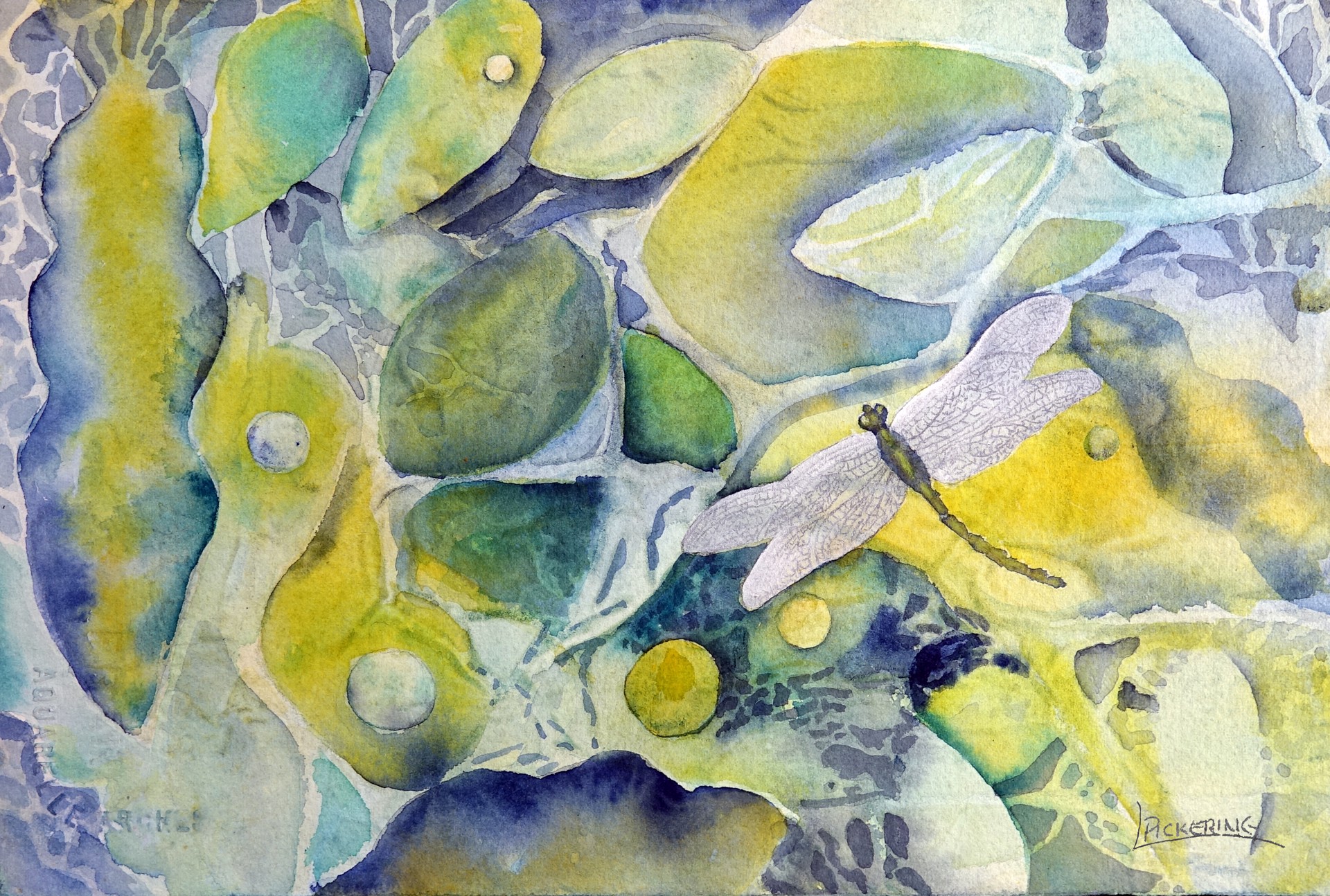 Dragonfly Pond by Laura Pickering