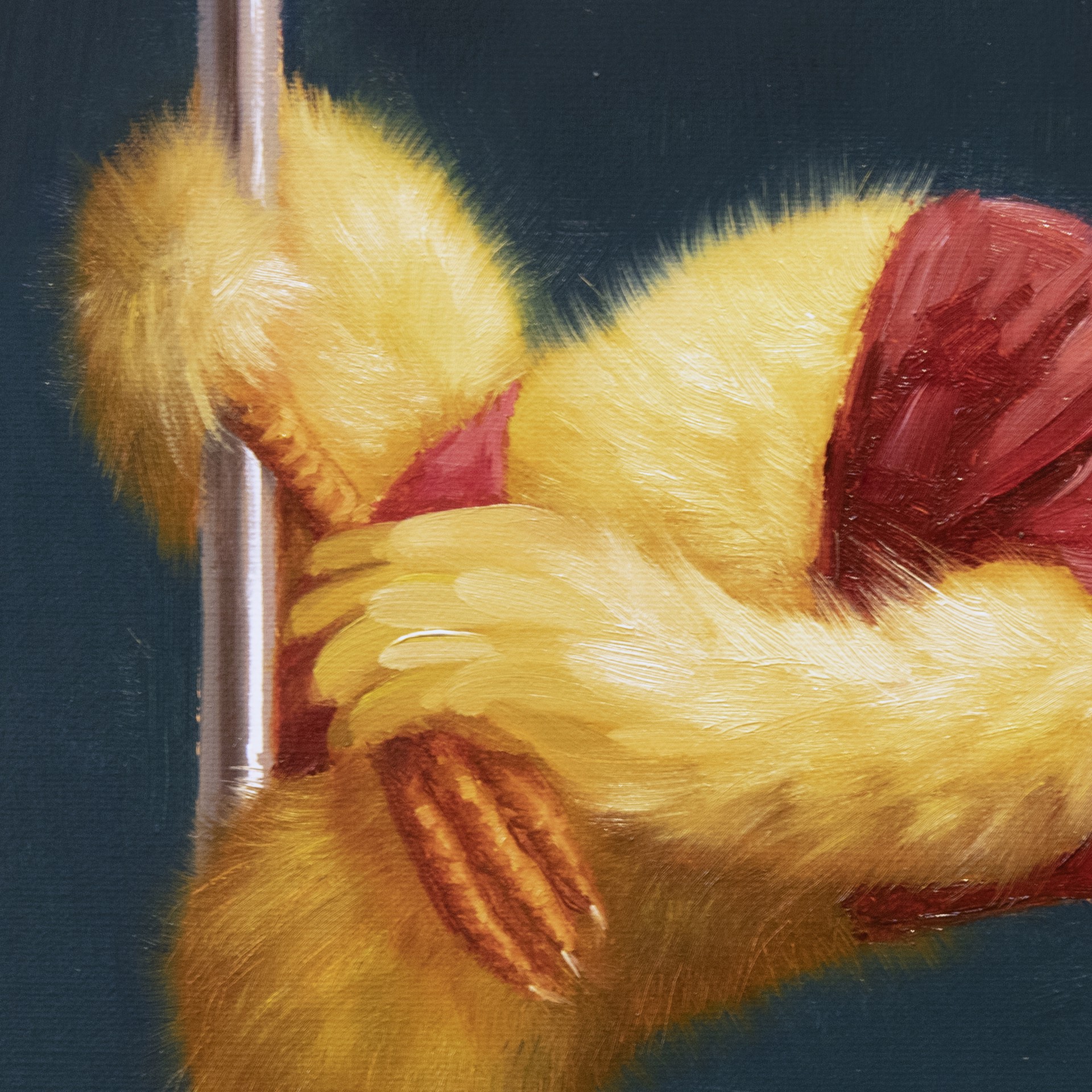 Pole Chick - Stargazer by Lucia Heffernan