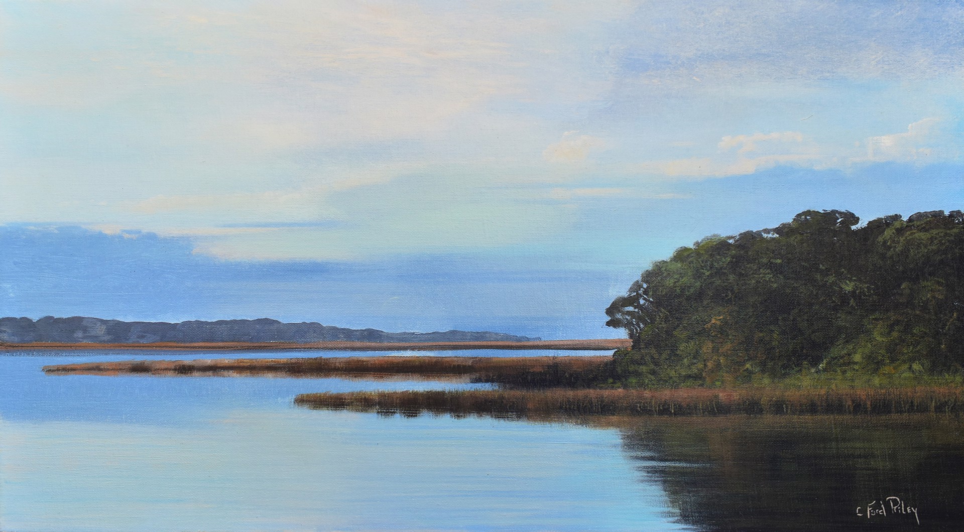 Serene Marsh by C. Ford Riley