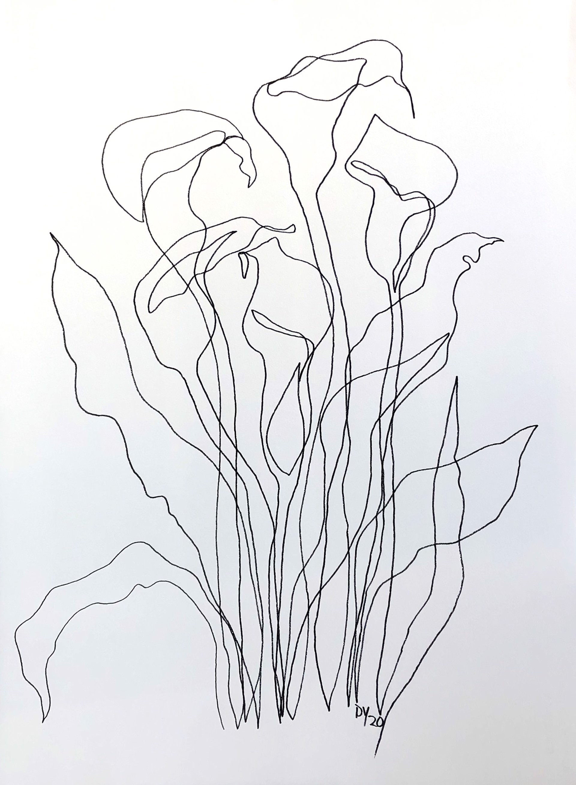 Floral in Lines VI by Dustin Young
