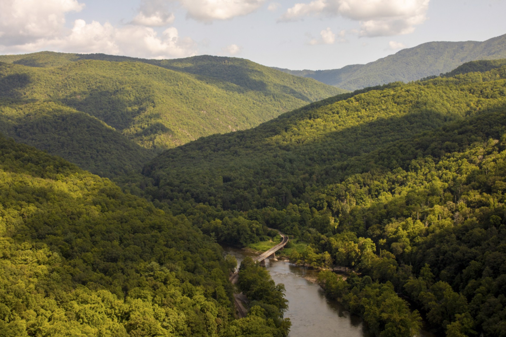 Appalachian Trail Tennessee by Sara M. Baurley
