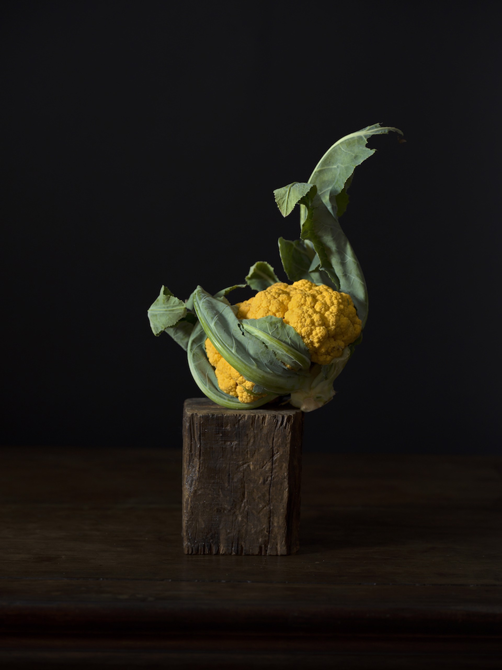 The Gift II: Cauliflower by Han Feng