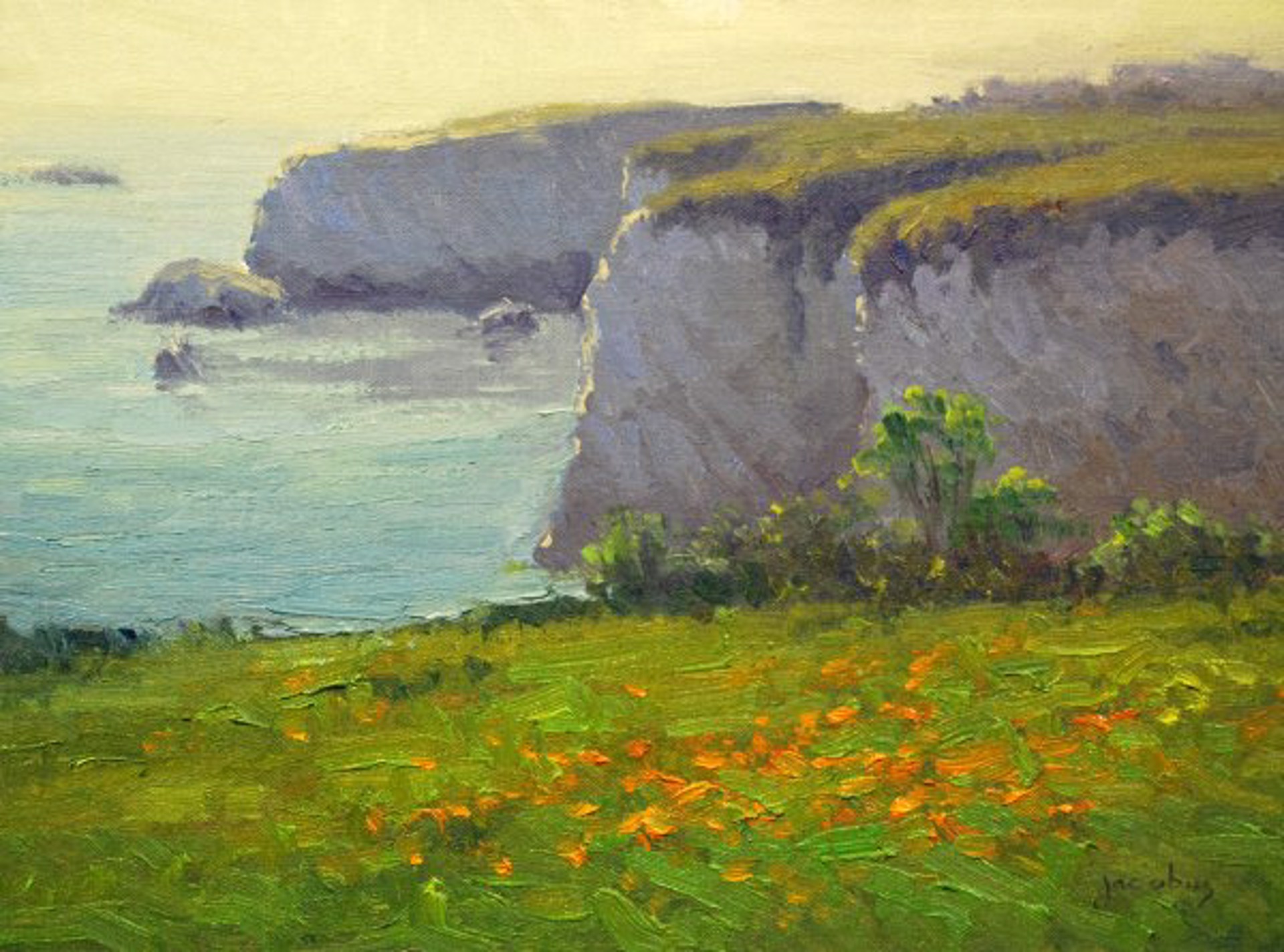 Poppies, Shell Beach by Jacobus Baas