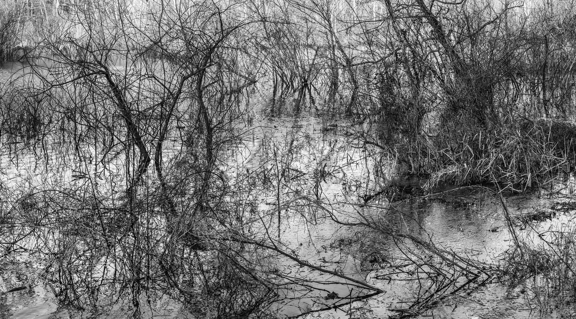 River Etching by Richard Skoonberg