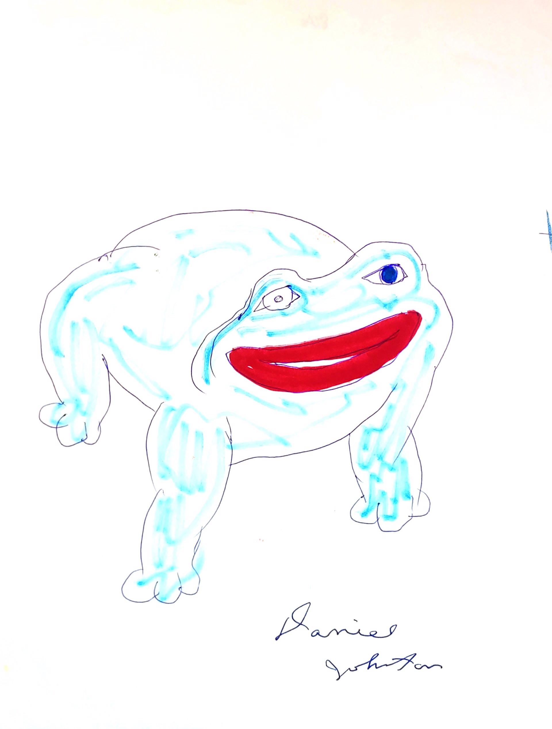 Fat Frog by Daniel Johnston