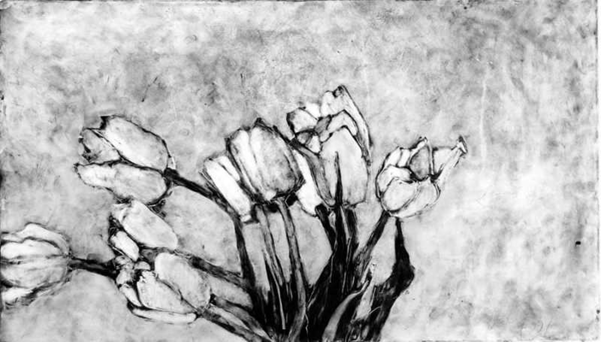 White Tulips III by Barbara Brainard