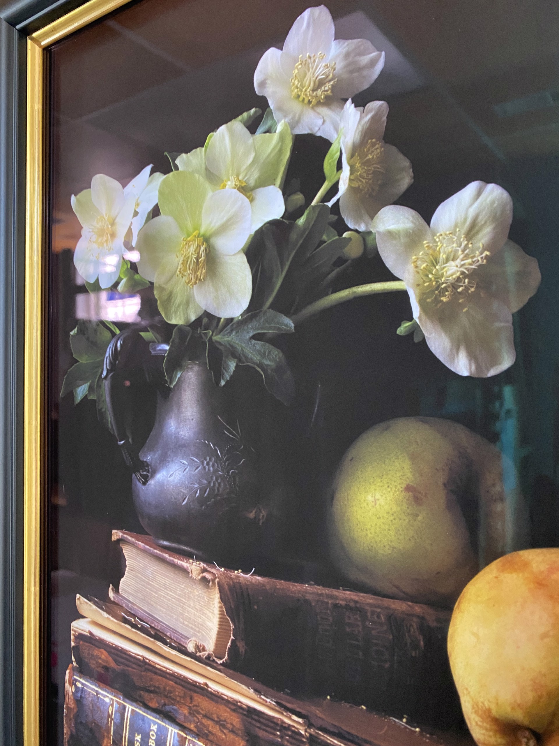 Vanitas with Hellebore and Ripe Pears, 3463 by Molly Wood