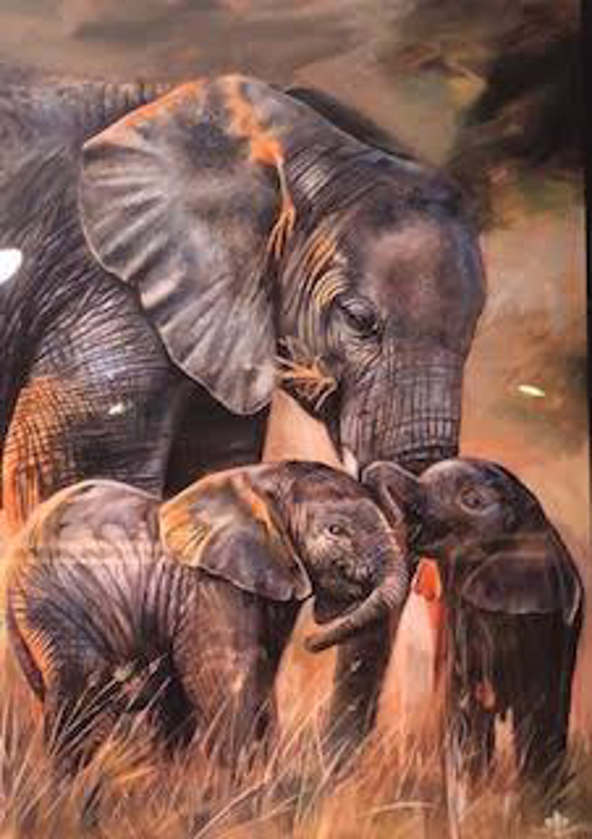 Elephant Twins by The Twins