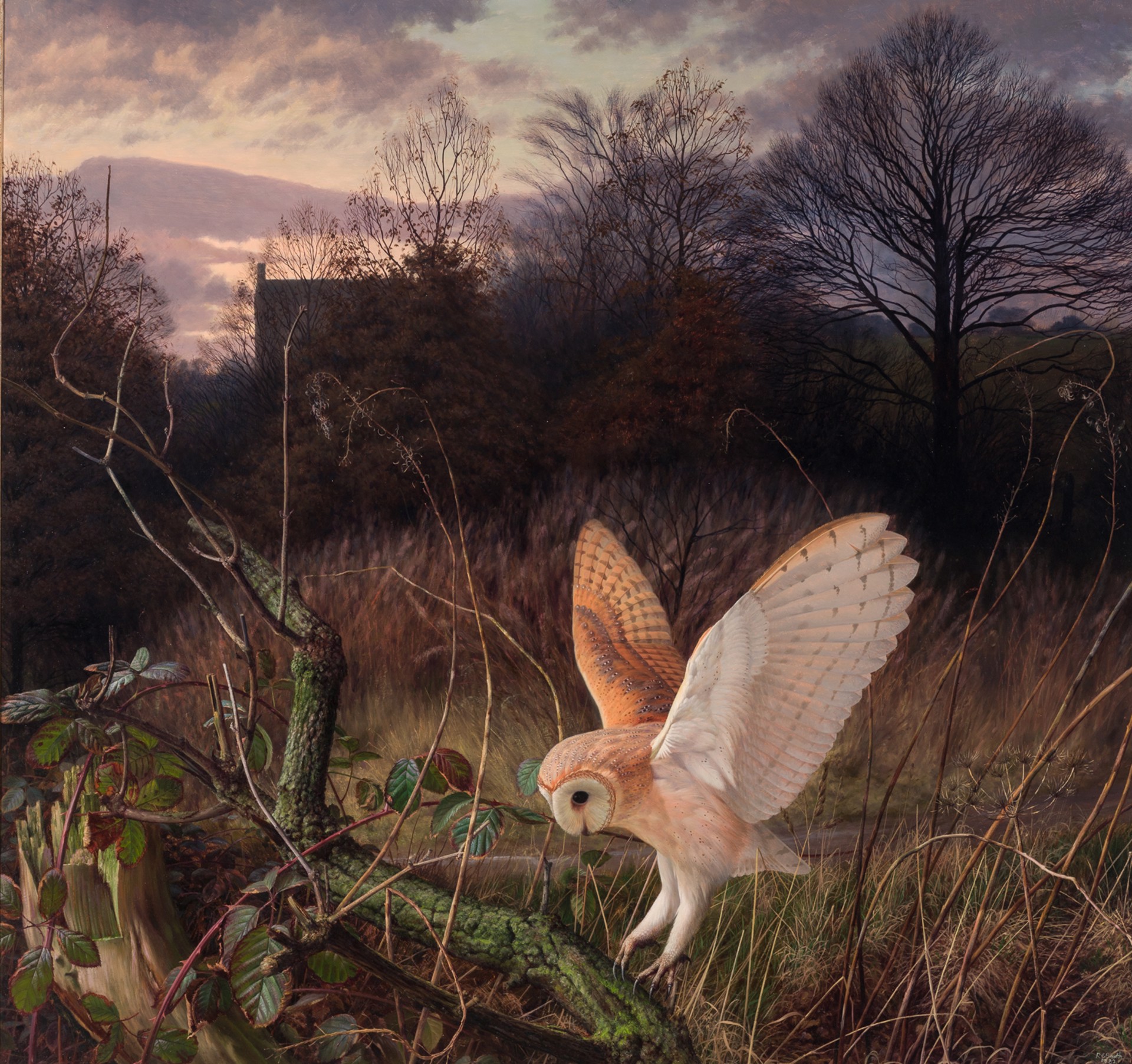 BARN OWL ON A WINTER EVENING by Raymond Booth