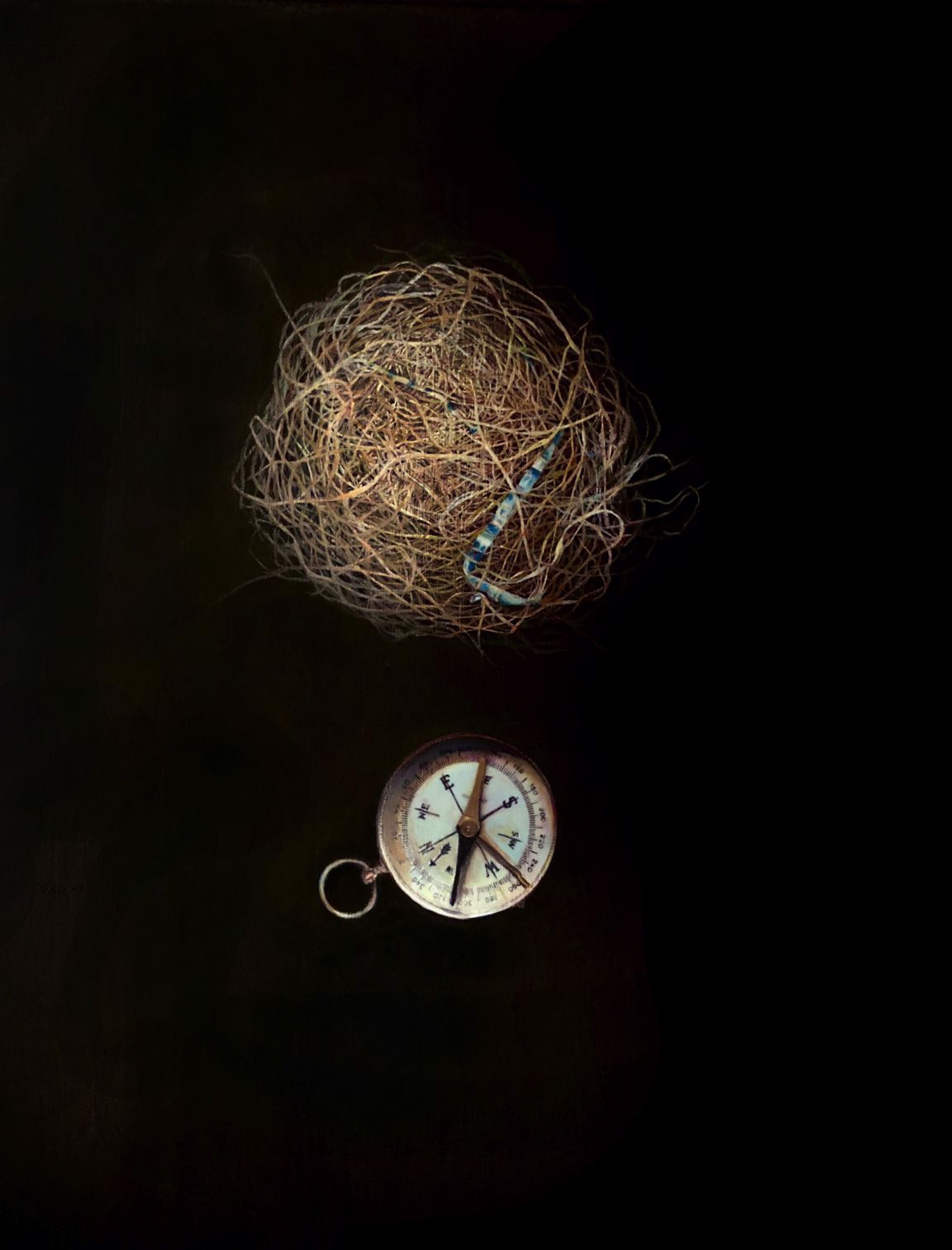Compass Nest by Tilly Woodward