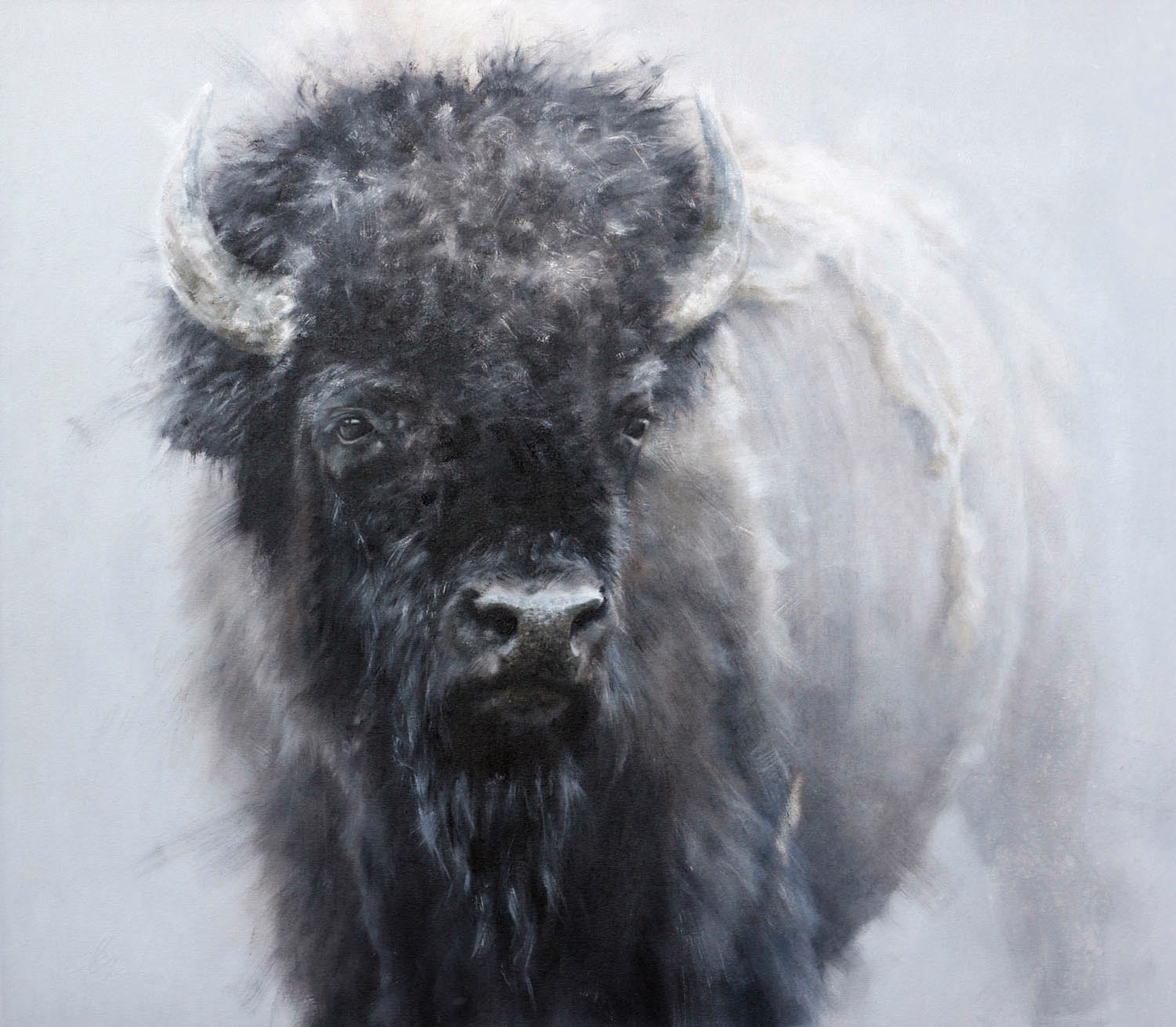 Original Oil Painting Featuring A Forward Facing Bison Fading Into Light Gray Background